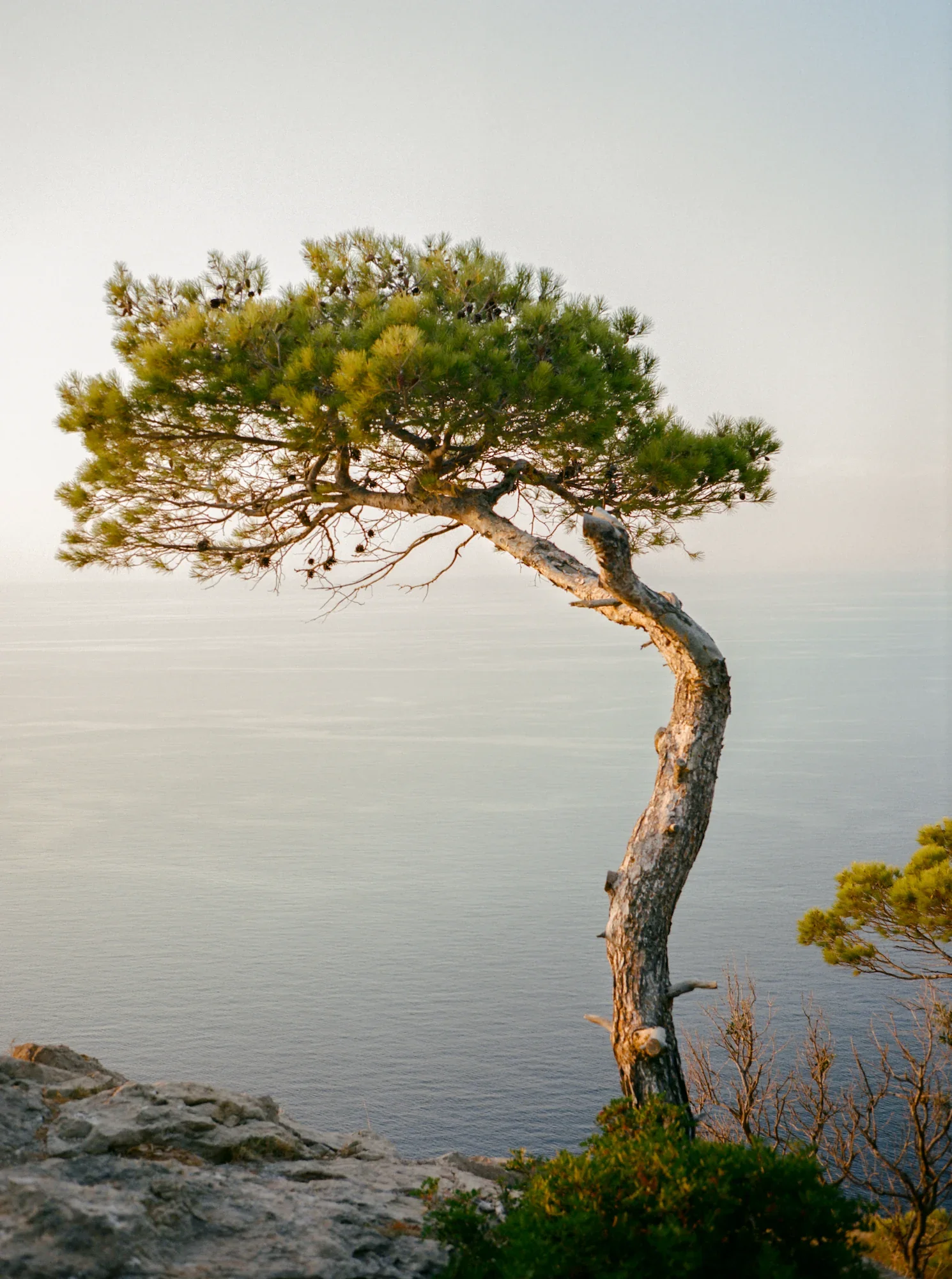 Romain Becue-13.webp