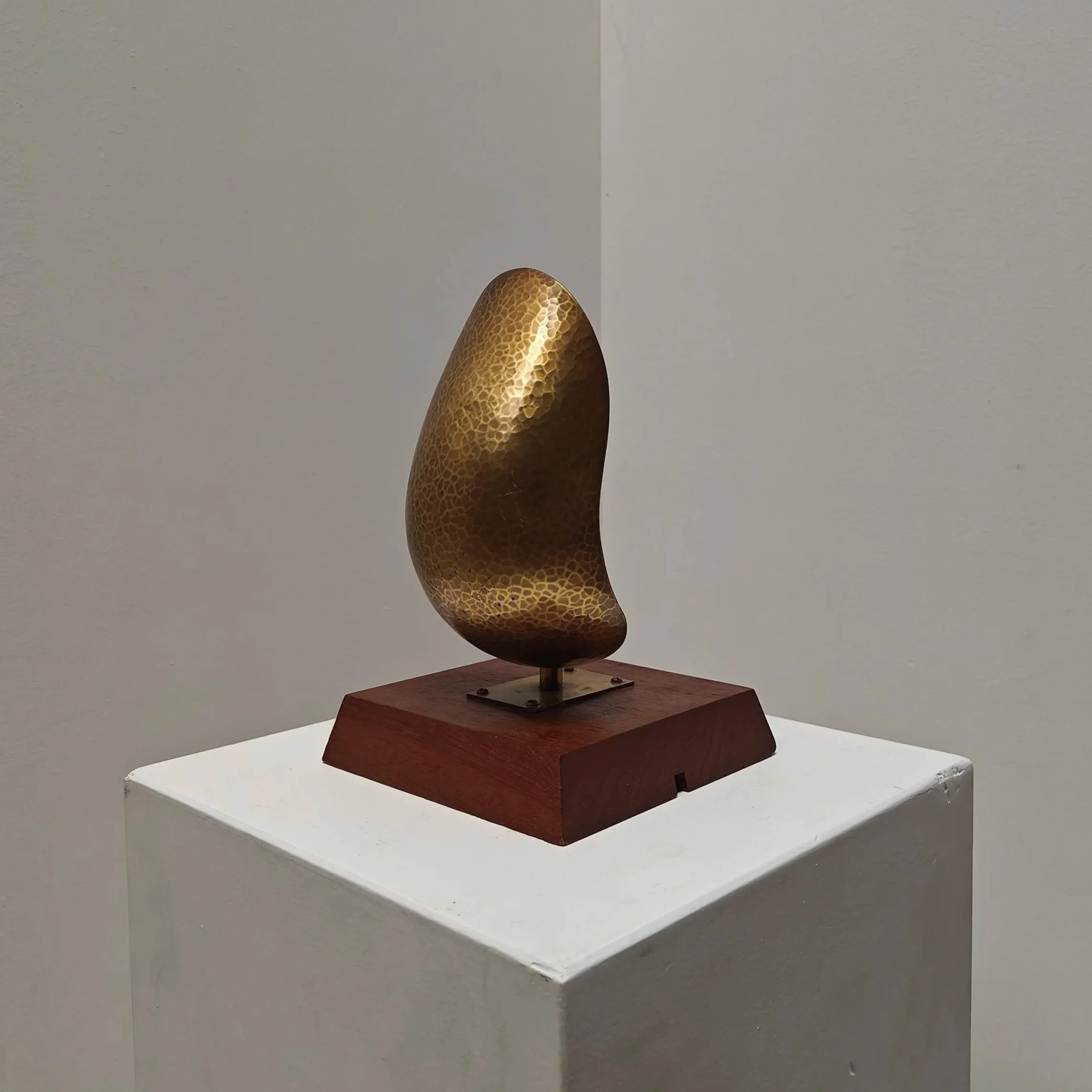 Studio made organic brass lamp