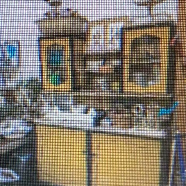 1889 garden house cabinet 26.png