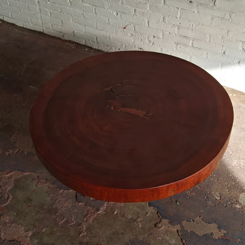 Solid slab tree trunk coffee table 4.png