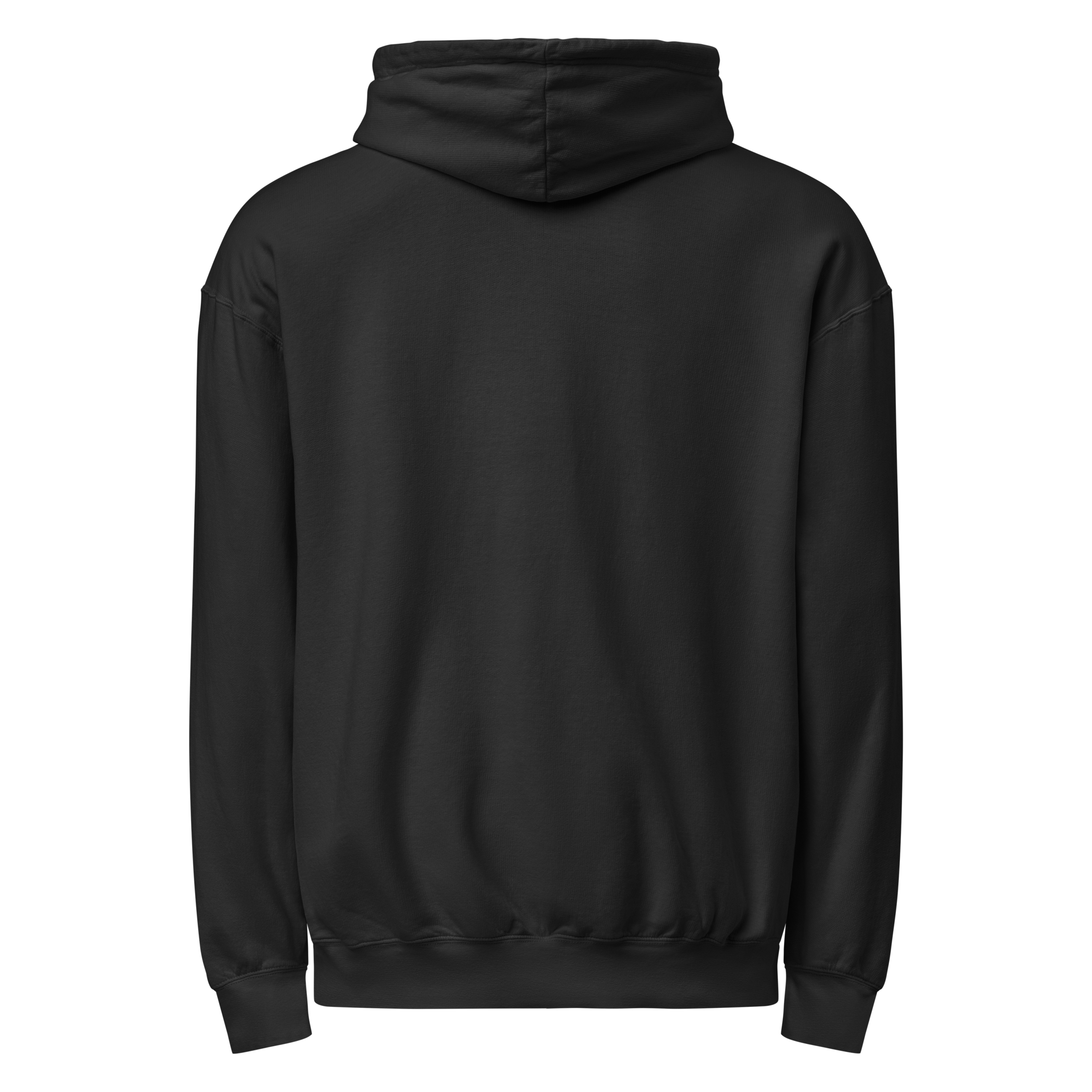 unisex-garment-dyed-lightweight-fleece-hooded-sweatshirt-i-comfort-colors-1467-black-back-691cf3bdb9191.png