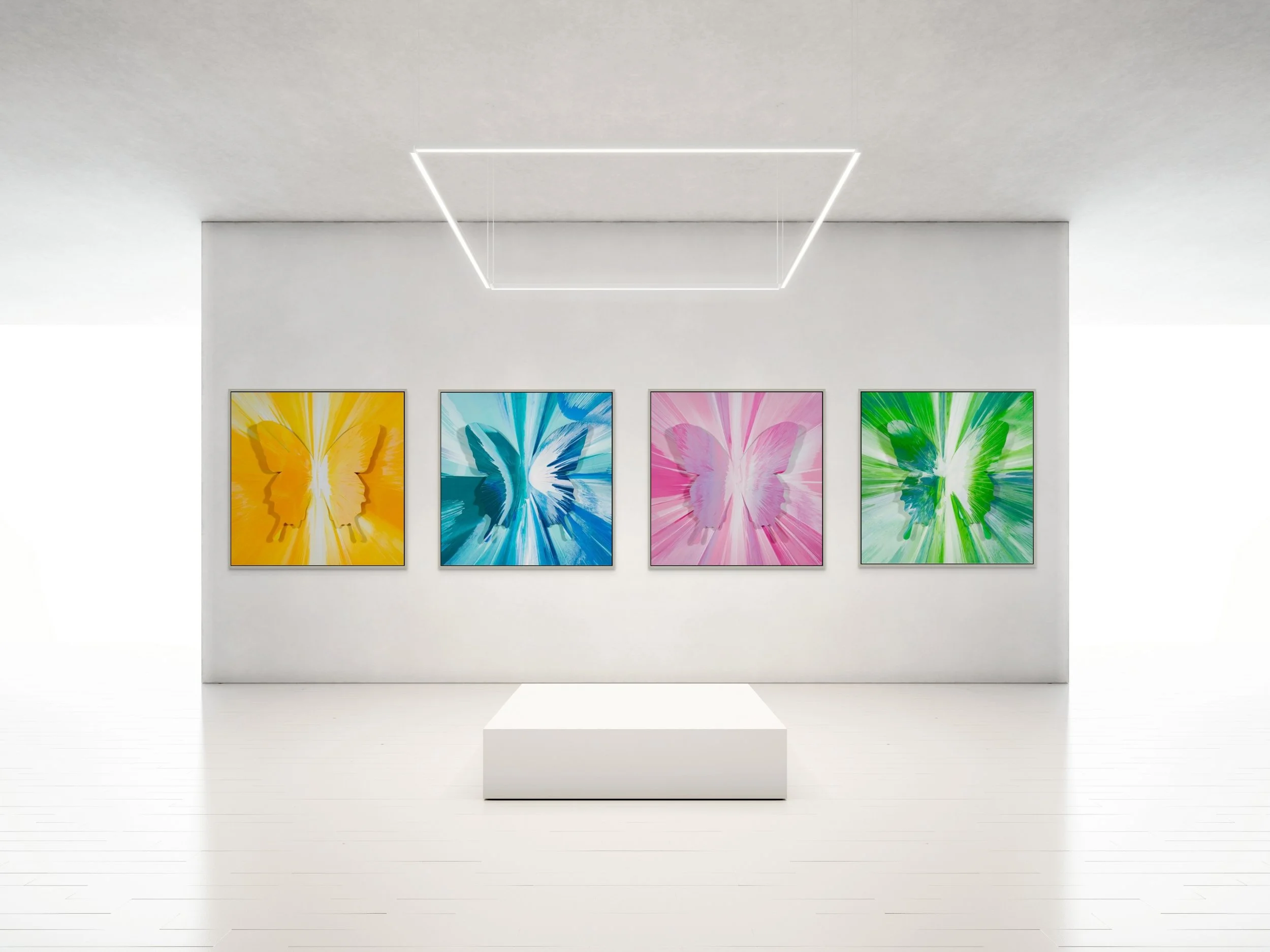 Fine art photograph of a spin painting with 3D butterflies by PunkMeTender