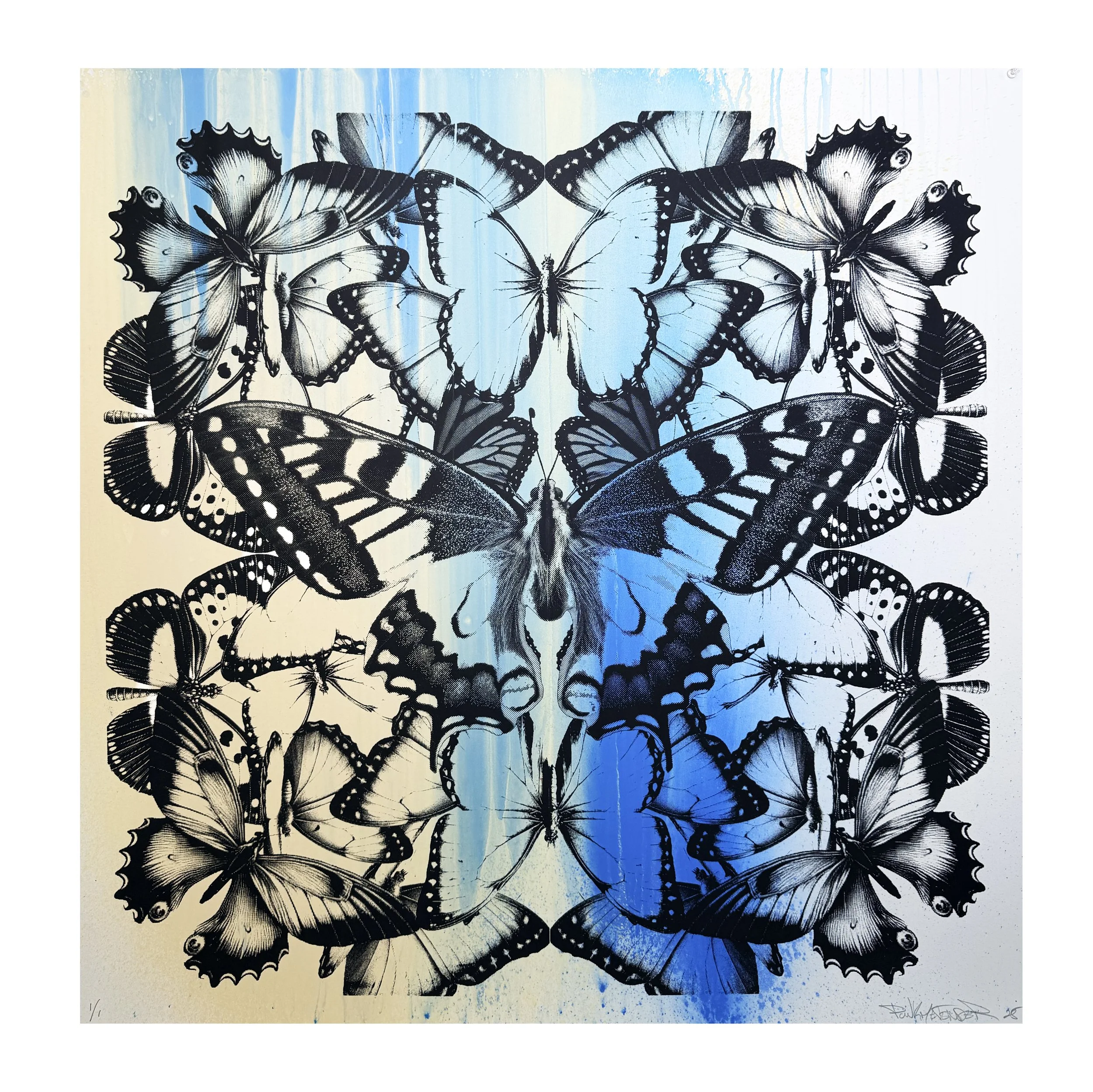 butterflyB 1:1 36x36.jpg