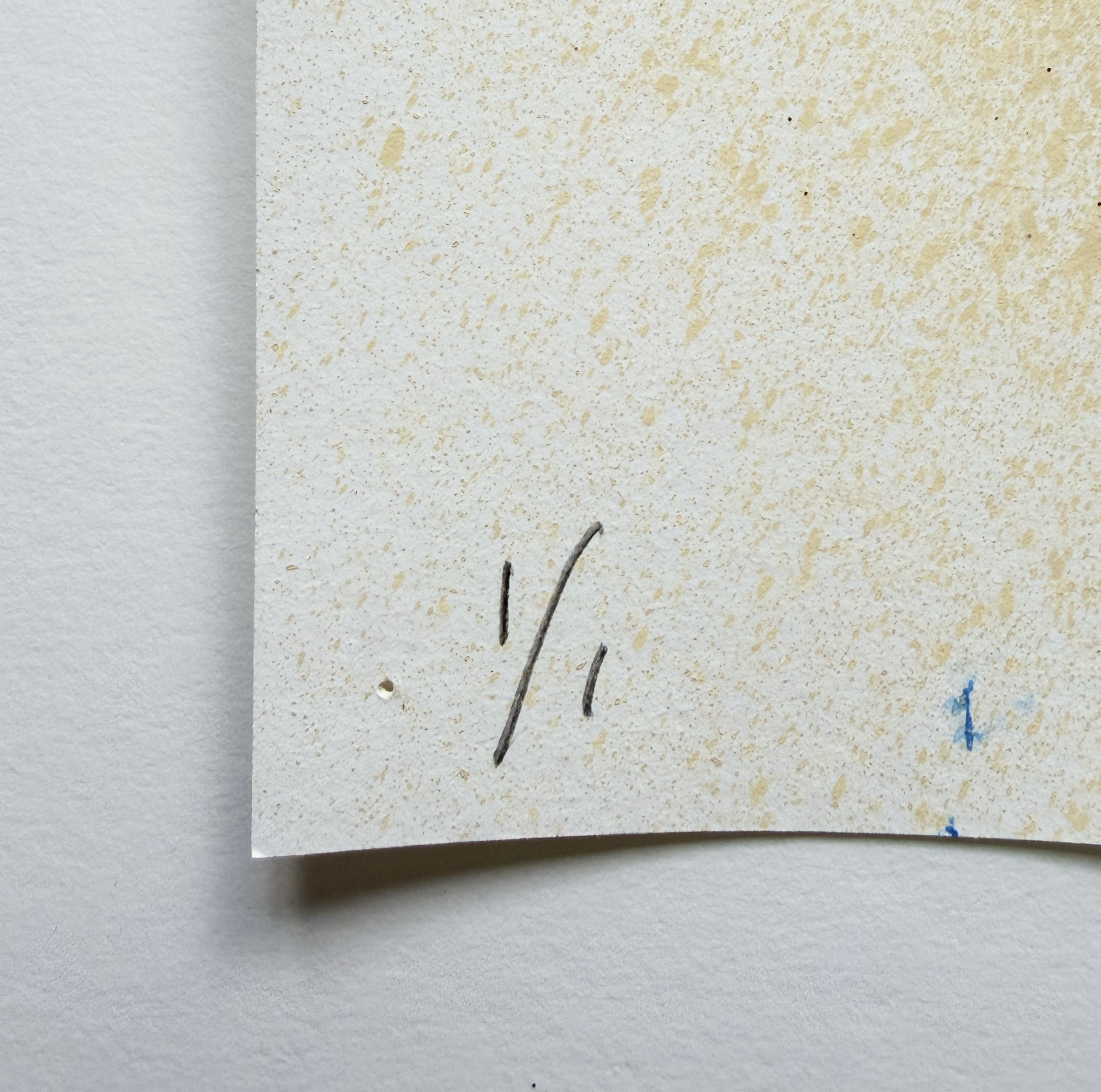 butterflyB 1:1 36x36 B.jpg