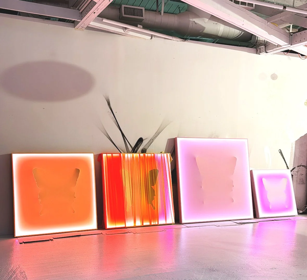 Punkmetender artworks, light panels with butterfly silhouettes, illuminated in orange, red, pink, and purple, set against a plain wall with an unfinished store ceiling.
