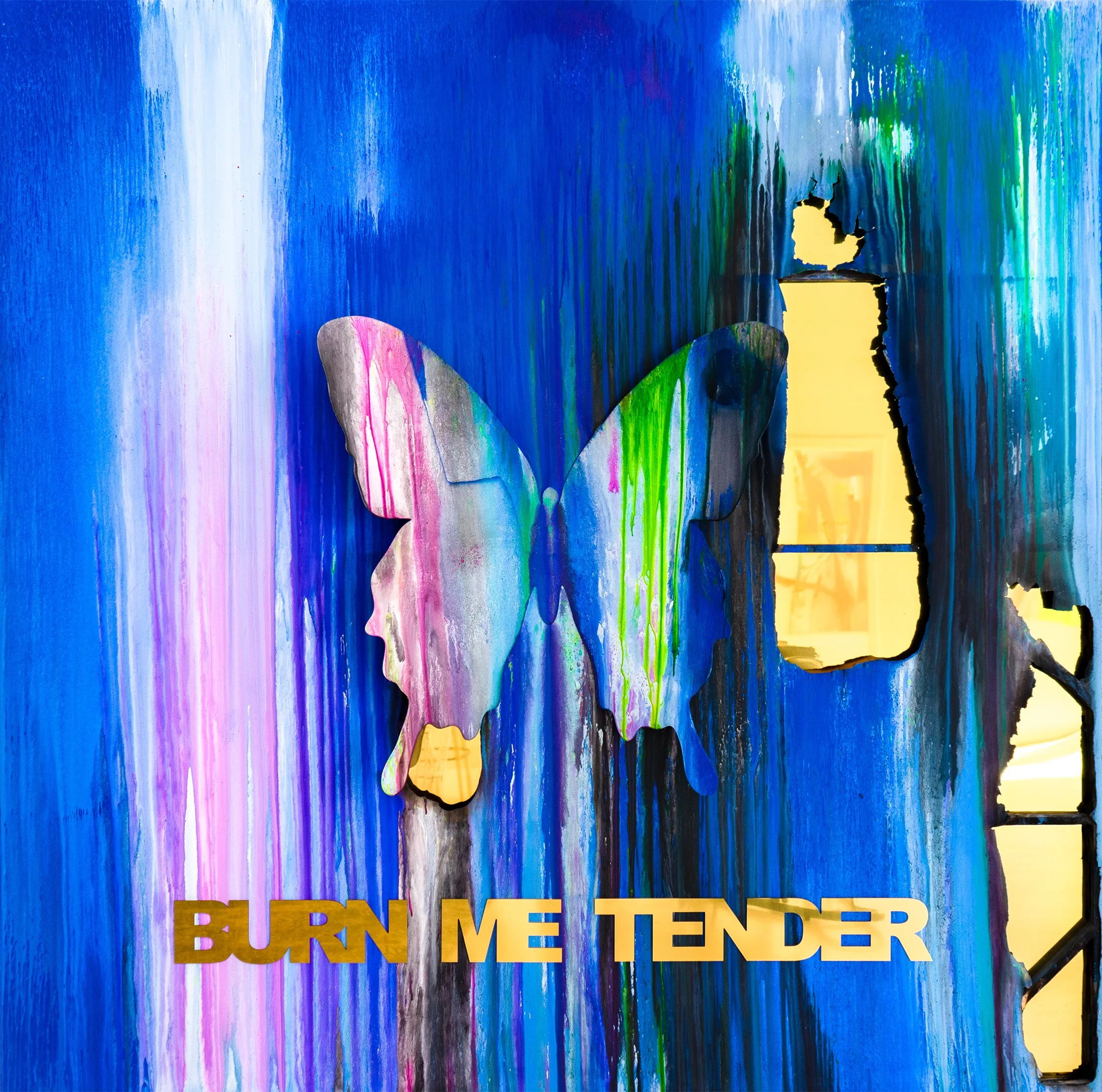 Fine art photography featuring 3D butterflies by PunkMeTender