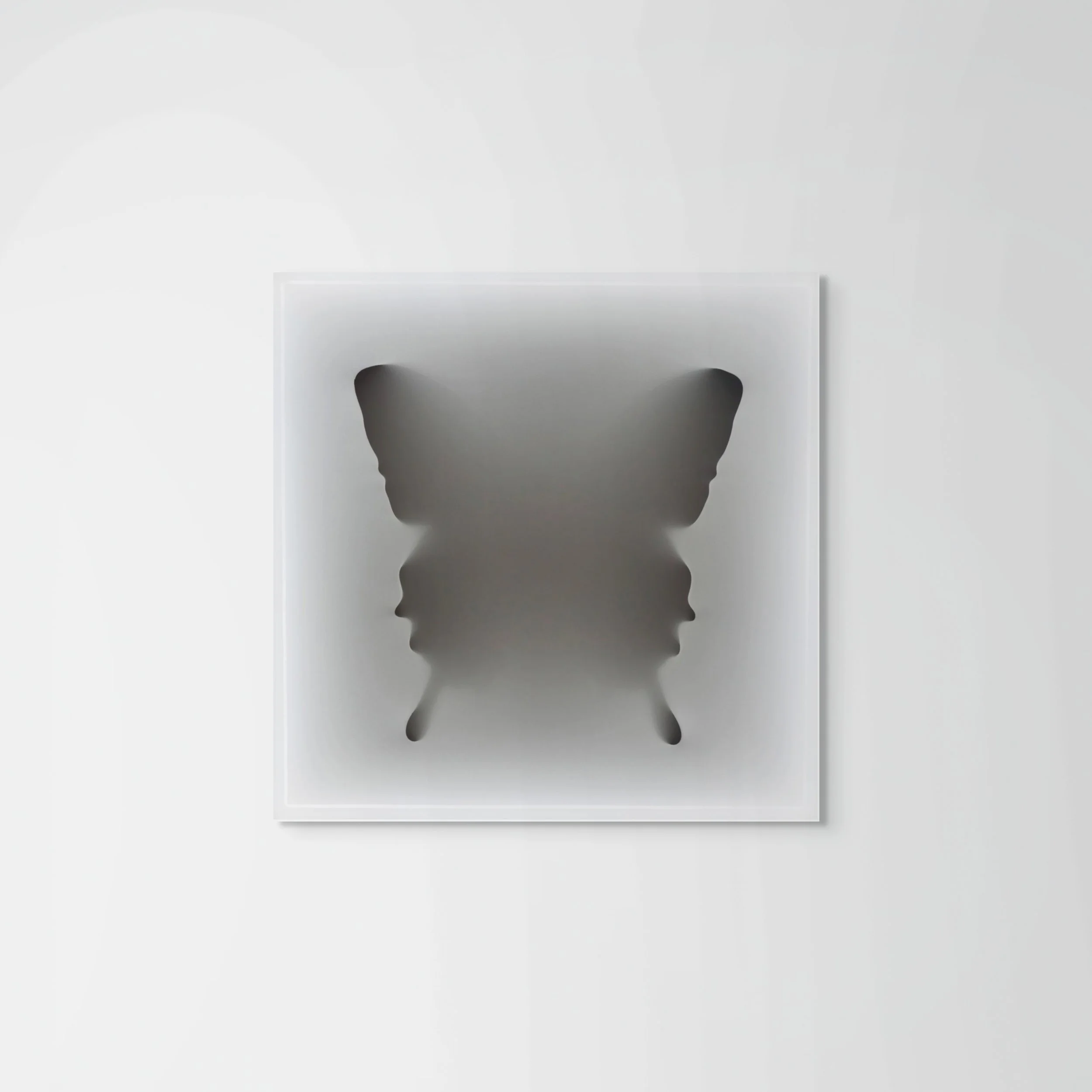 METAMORPHOSIS : Veil of Light