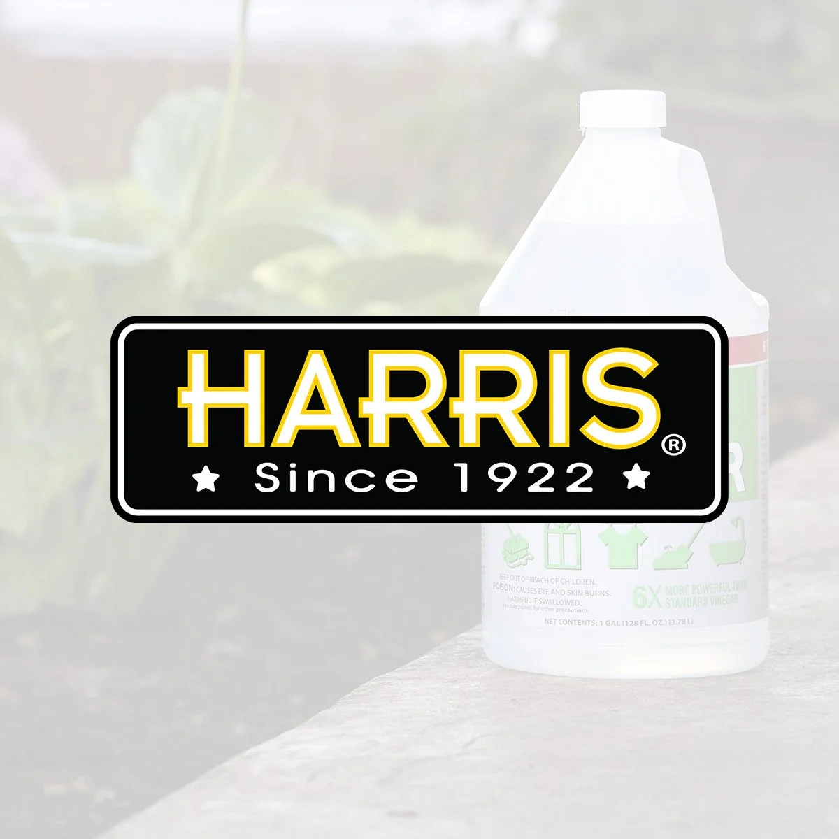 MBT Website_Portfolio Page_1200x1200_Harris.jpg
