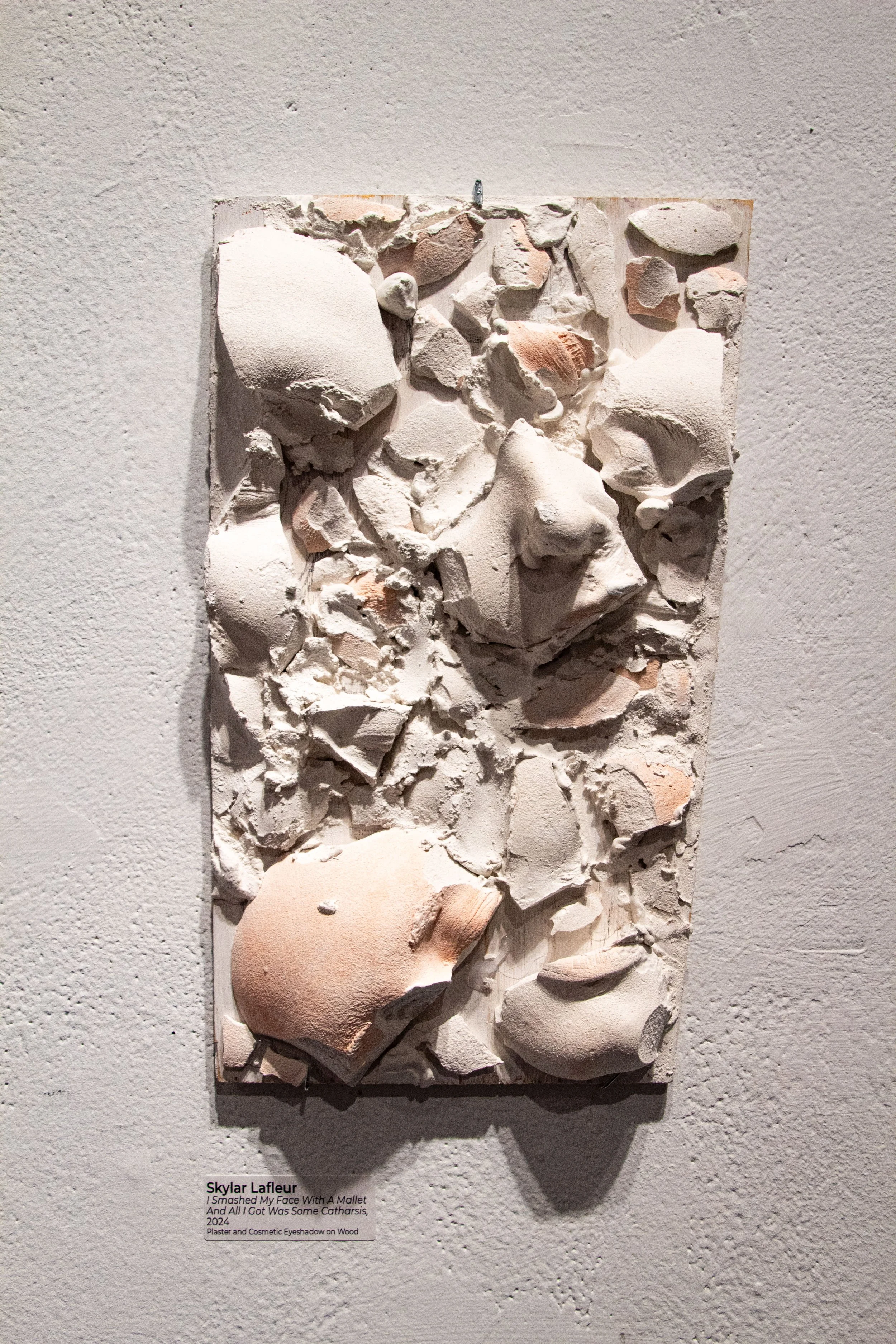"I Smashed My Face With A Mallet and All I Got Was Some Catharsis," Plaster Face Cast and Cosmetic Eyeshadow on Wood