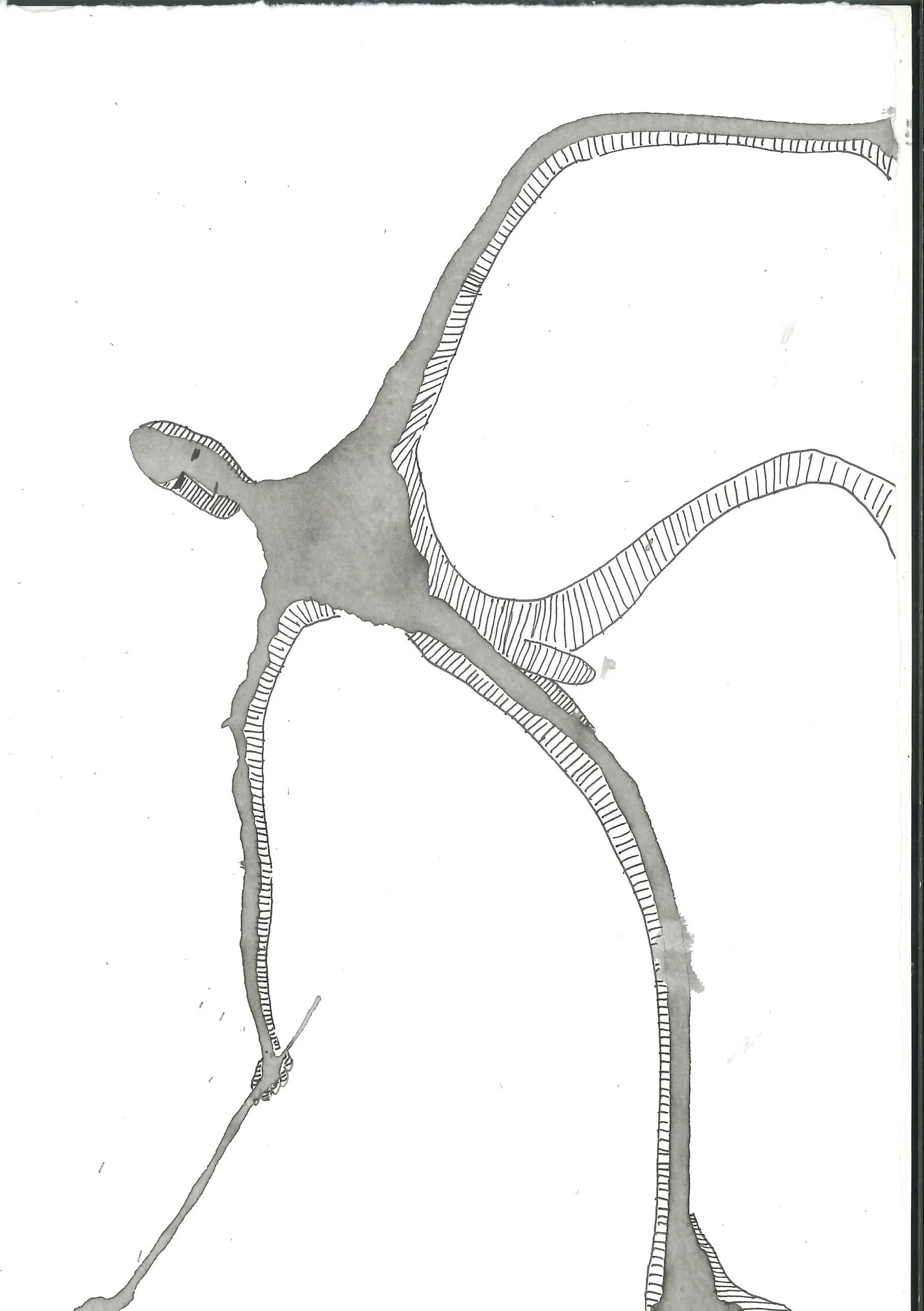 A black and white diagram of the human urinary system, highlighting the kidneys, ureters, bladder, and urethra.