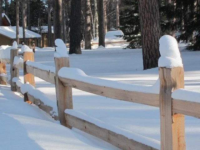 imgi_114_Winter-2014-021.jpg