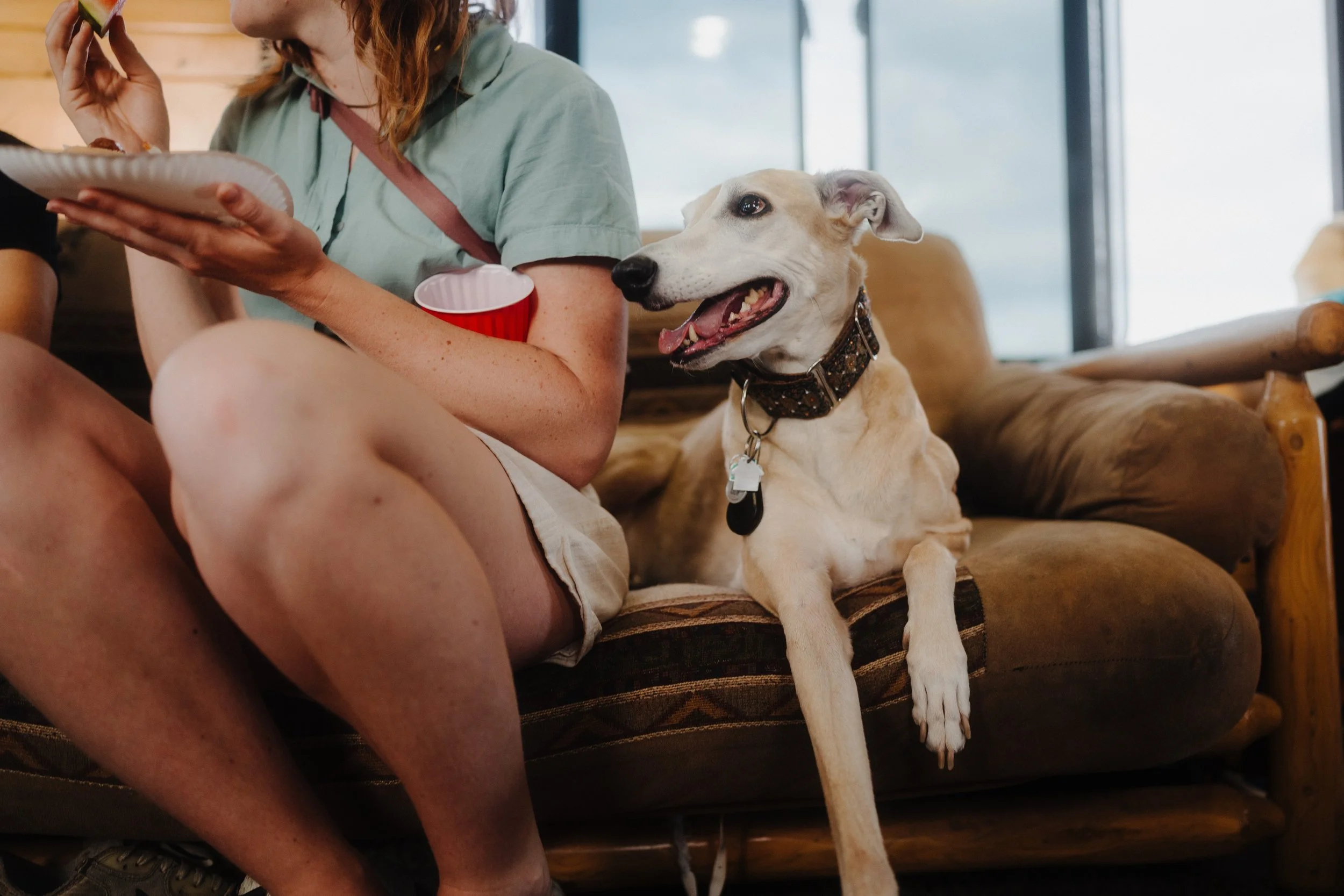 A woman sitting on a couch with a dog beside her, sharing a snack and holding a cup.