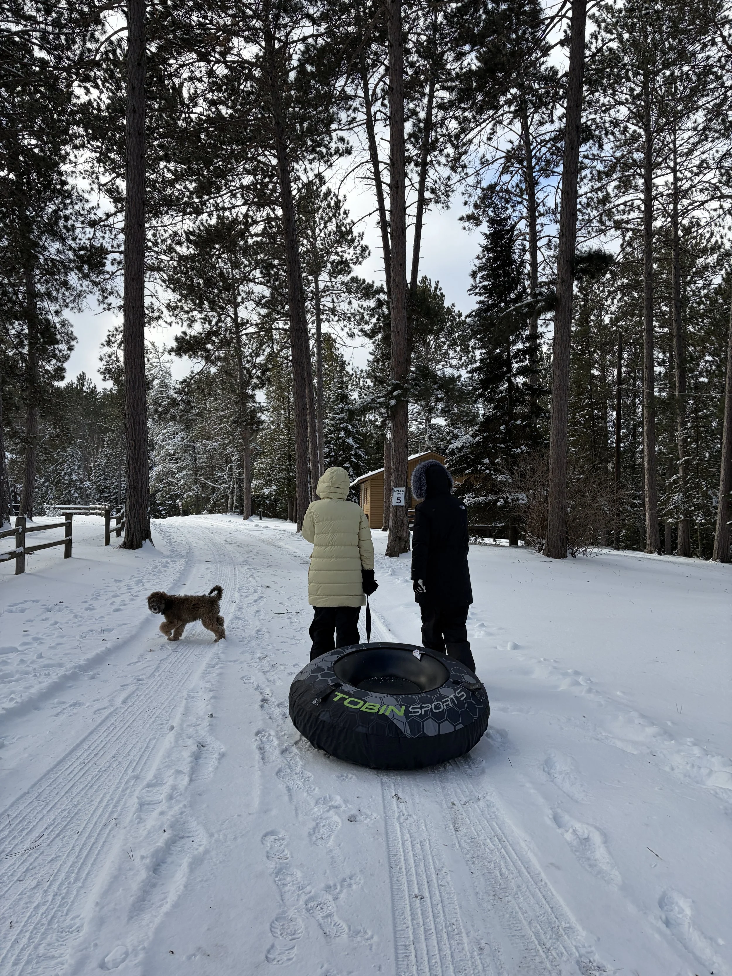 Two people dressed in winter clothing stand on a snowy path in a forest, with a small dog nearby. An inner tube labeled 'TOEIN SPORTS' lies on the ground, and tall trees surround the scene.