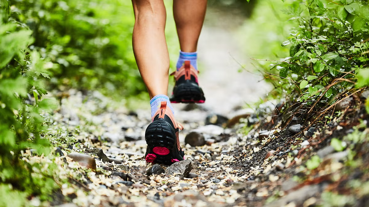 Person hiking on a rocky trail surrounded by green foliage.