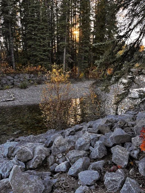 Overwhelmed by Tax Season? Stress-Free Bookkeeping for Corporations &amp; Sole Proprietors