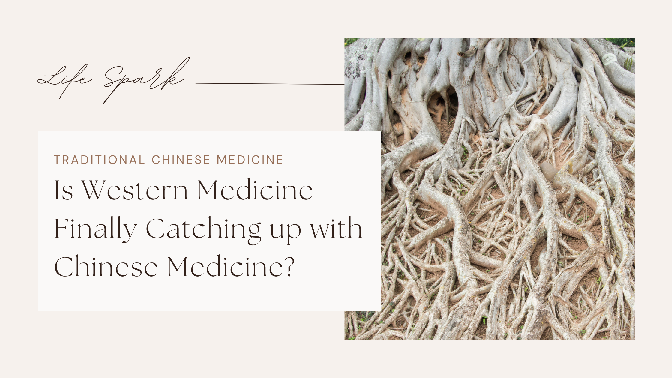 Is Western Medicine Finally Catching Up with Chinese Medicine?