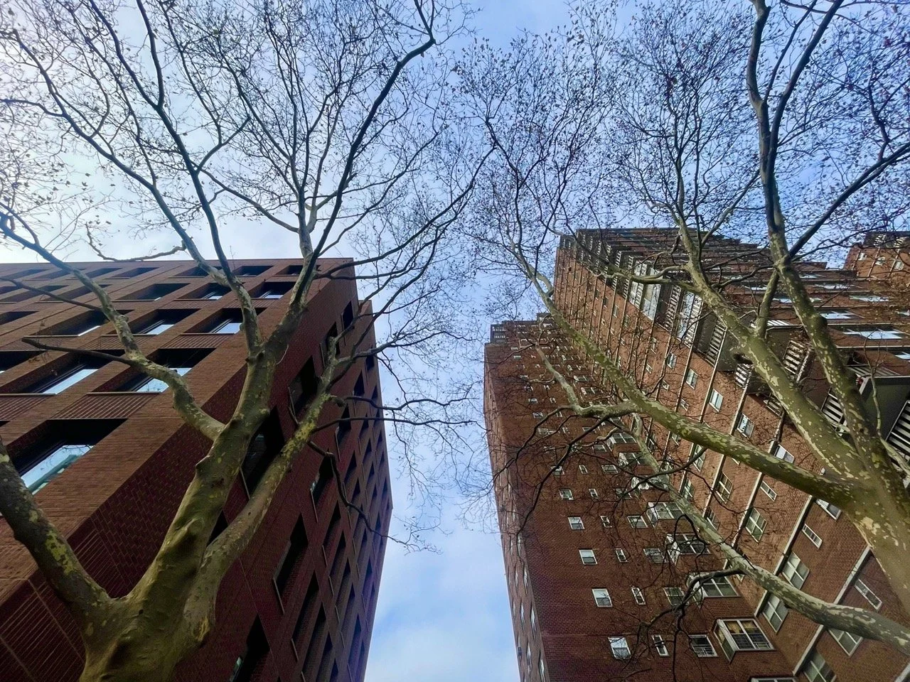 Low-angle view of two tall brick residential buildings with leafless trees in the foreground, against a partly cloudy sky.