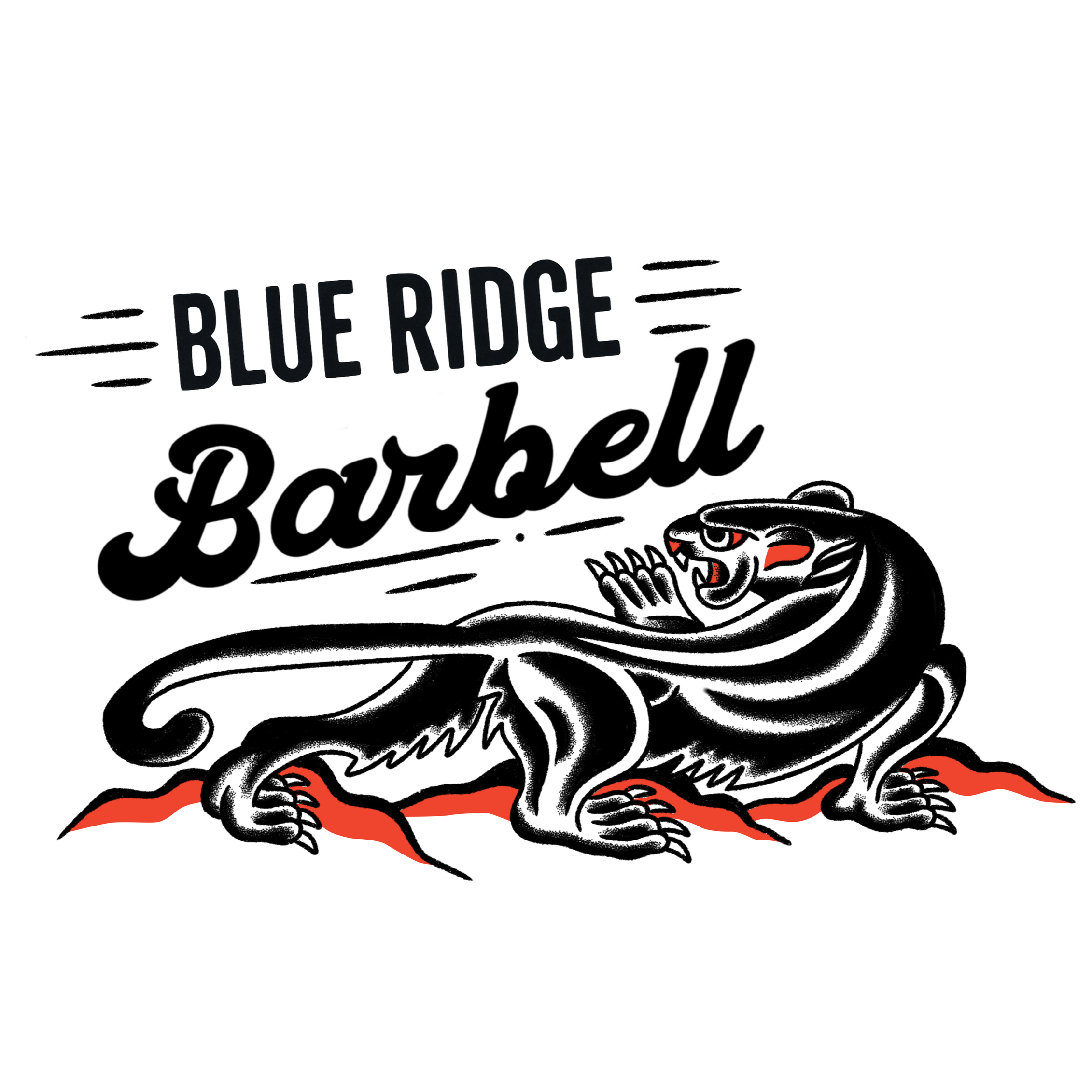 Blue Ridge Barbell Gym in Charlotteville VA