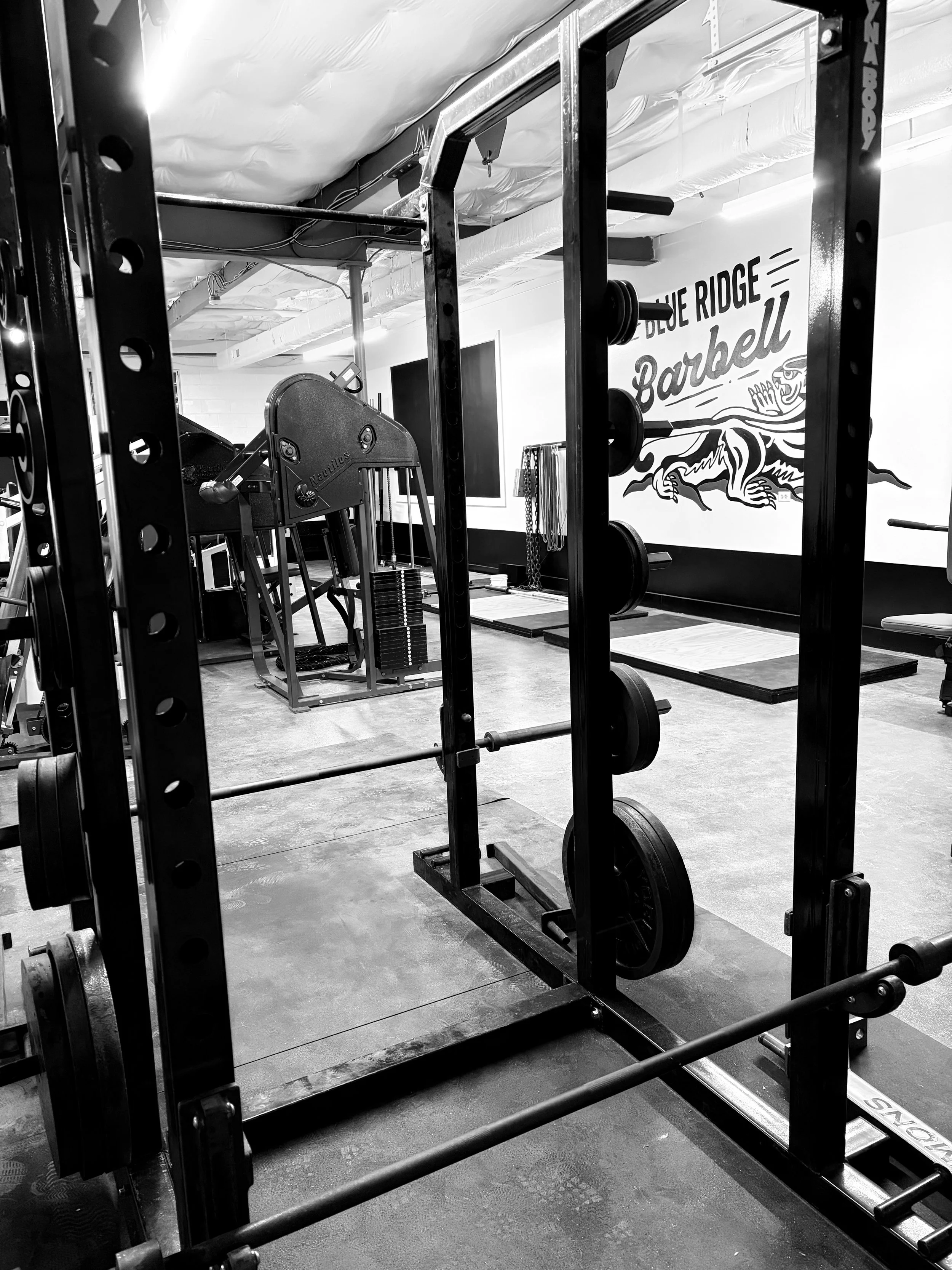 charlottesville gym, squat rack, blue ridge barbell, powerlifting gym, bodybuilding gym, personal training charlottesville, strength training charlotttesville