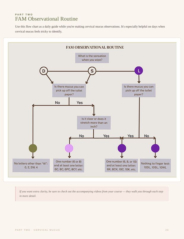FAM Observational Routine flowchart page
