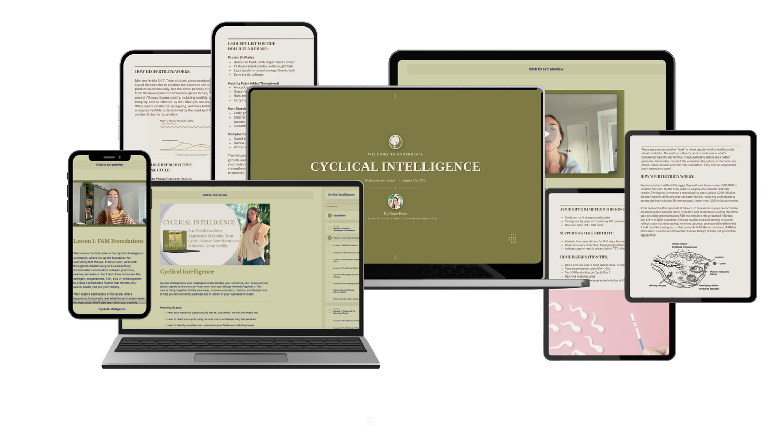 Cyclical Intelligence program preview