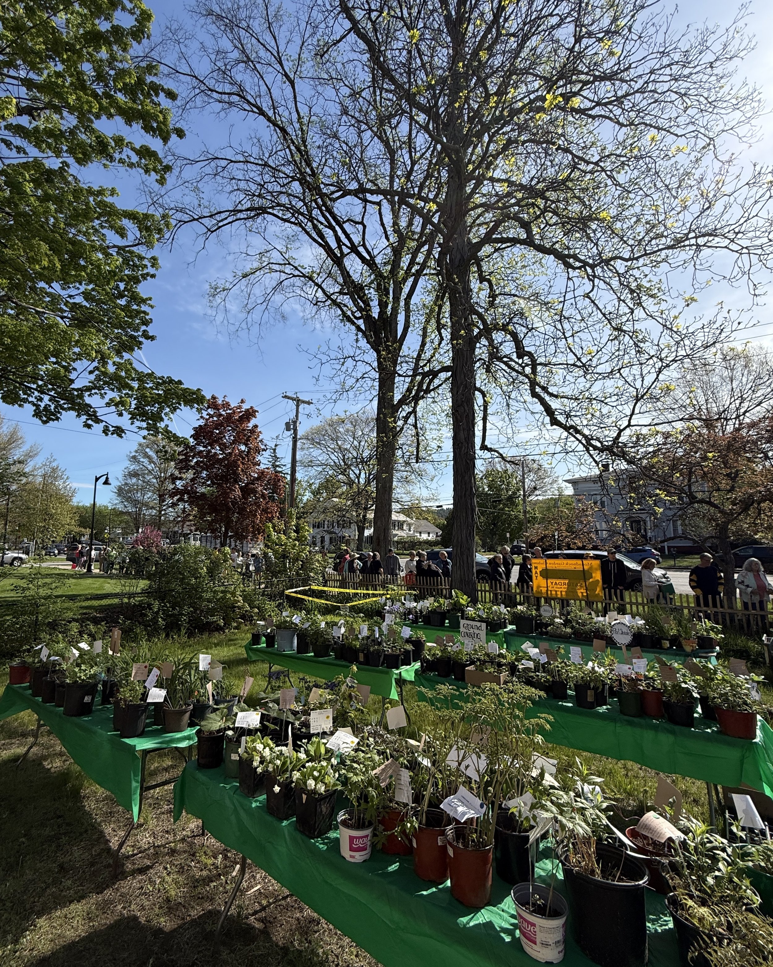 MGC Plant Sale                 May 2026
