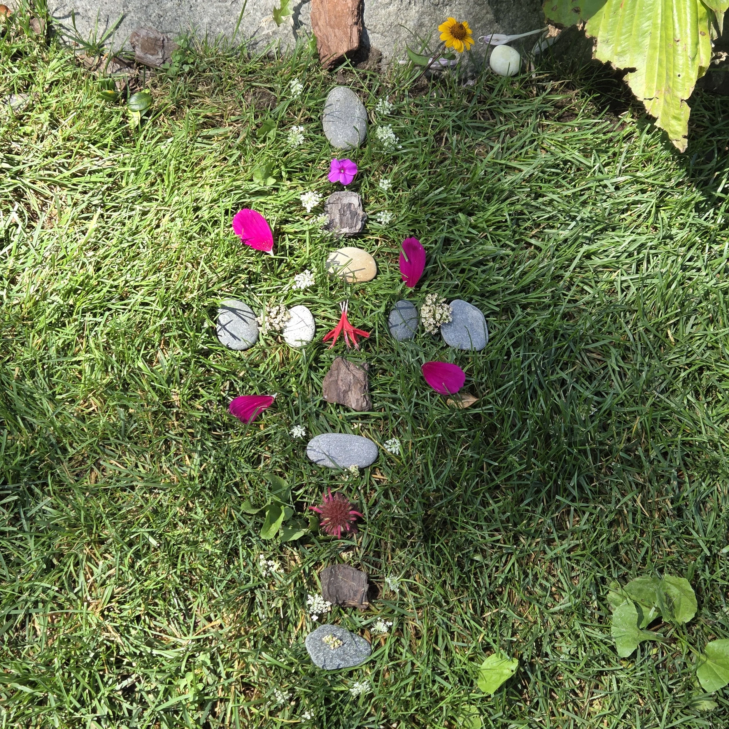 A Little Nature-Made Magic at Ashuelot River Park