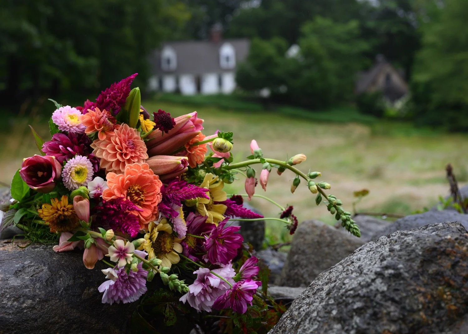 MONADNOCK-GARDEN-CLUB-bouquet-stone-wall.jpg