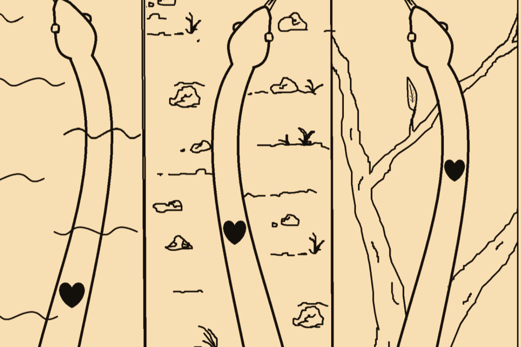 Snakes: Nature’s Gravity Experiment