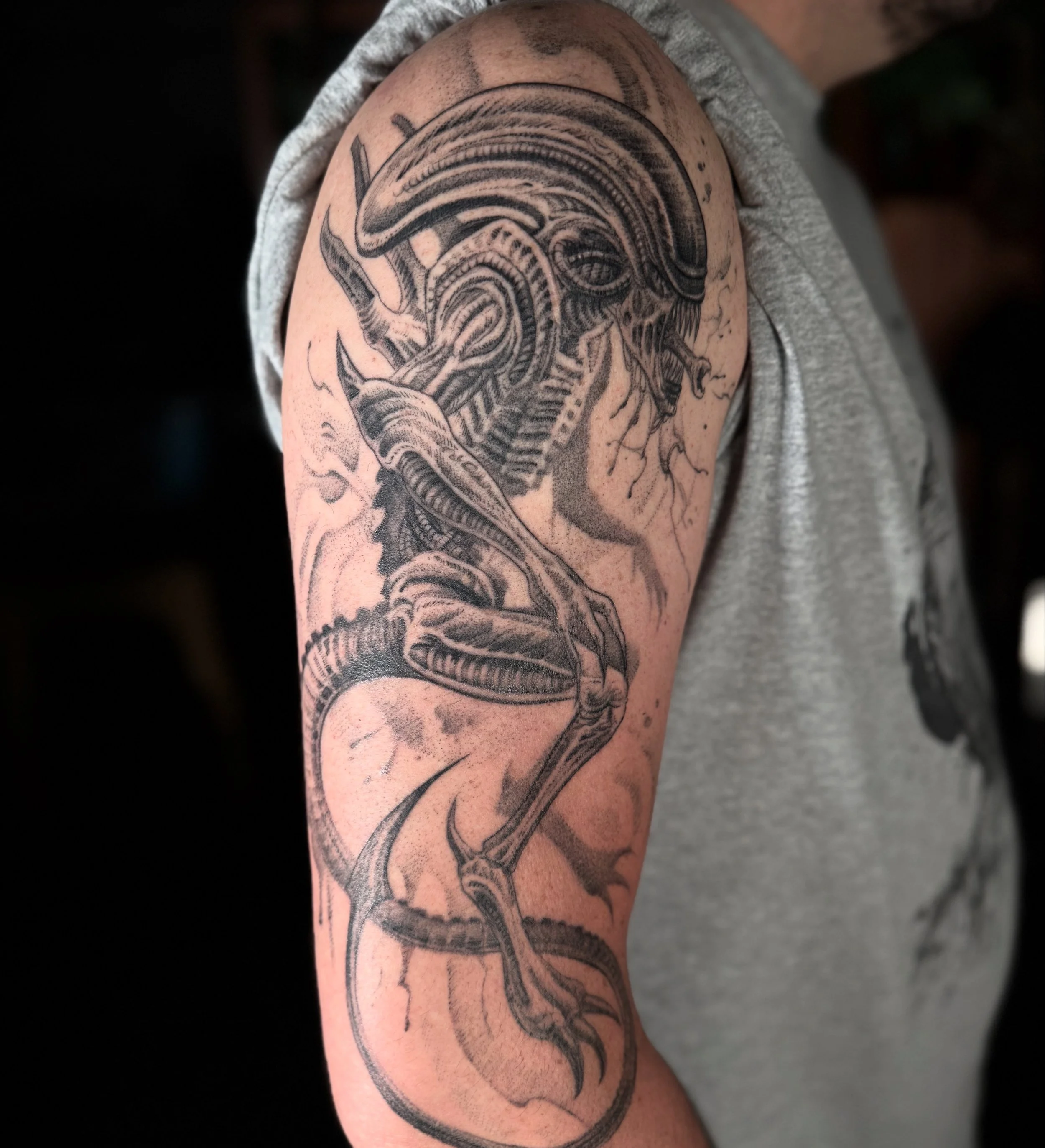 xenomorph.jpg