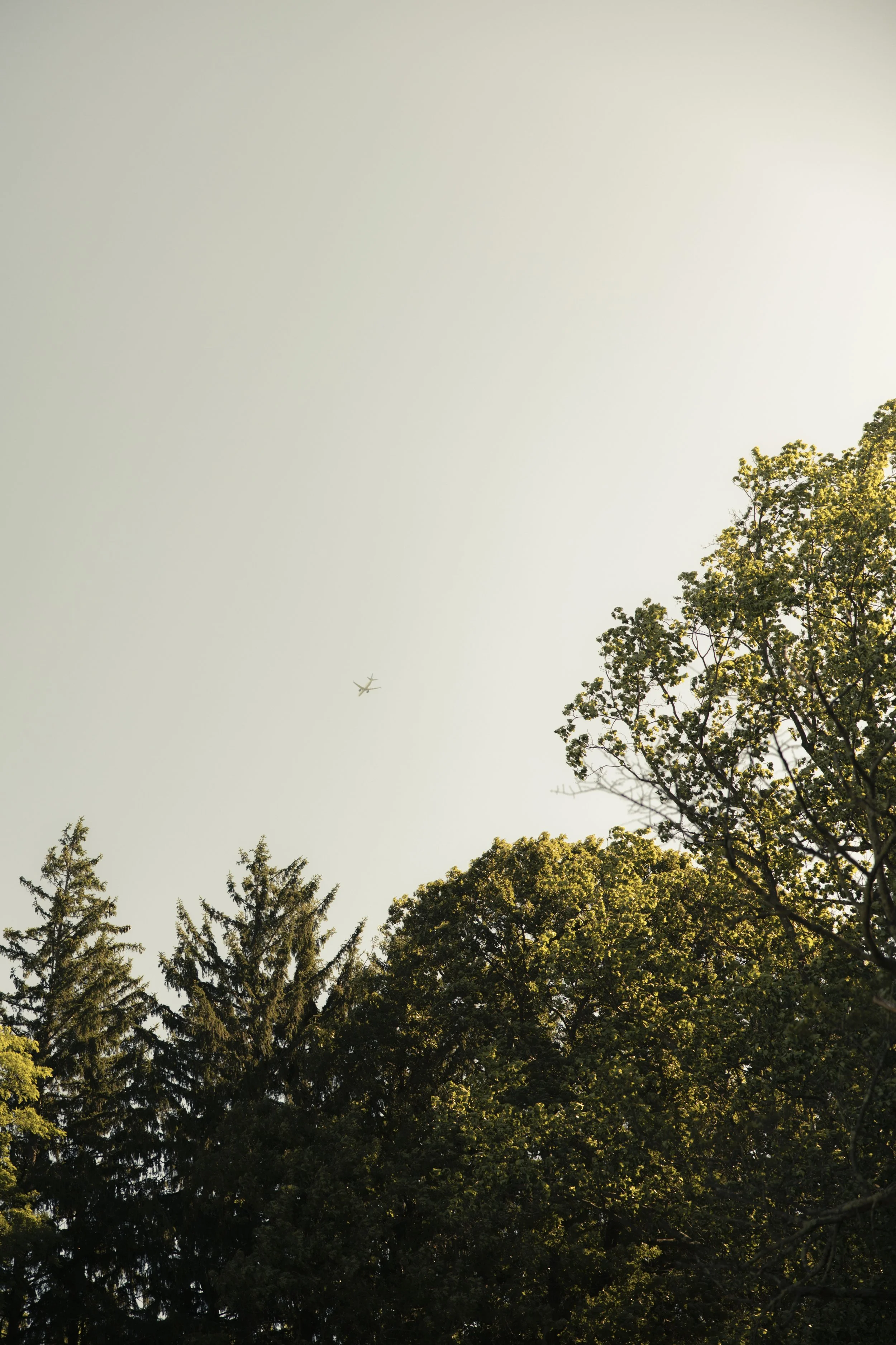 5S8A7475.jpg