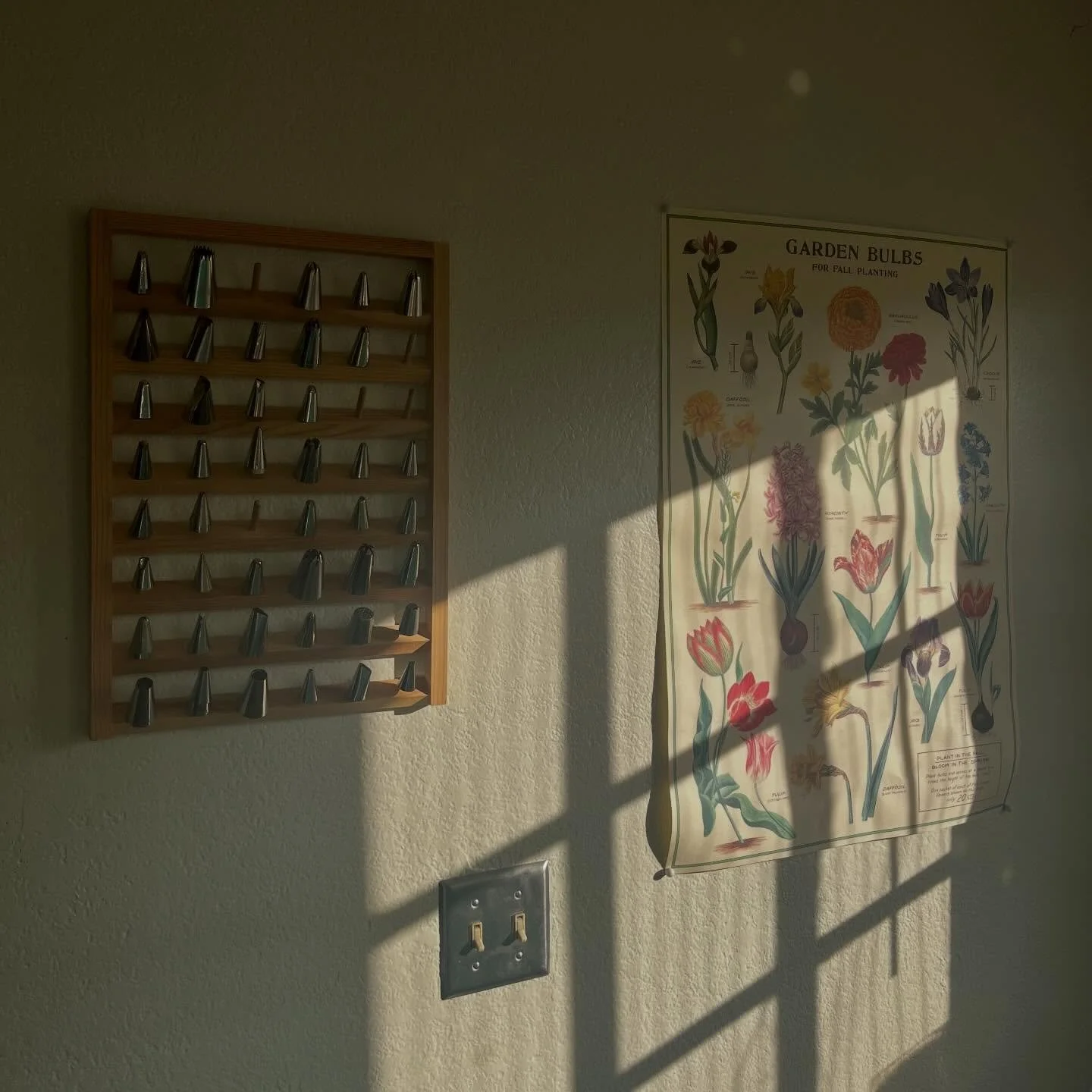 Morning sun in the kitchen hits different ☀️🧁

#baking #bakery #cakedecorator