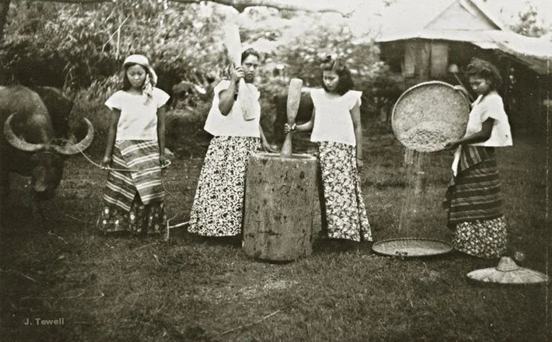 The Spirit of Plants: How Our Ancestors Worked With Herbs as Allies &amp; Teachers