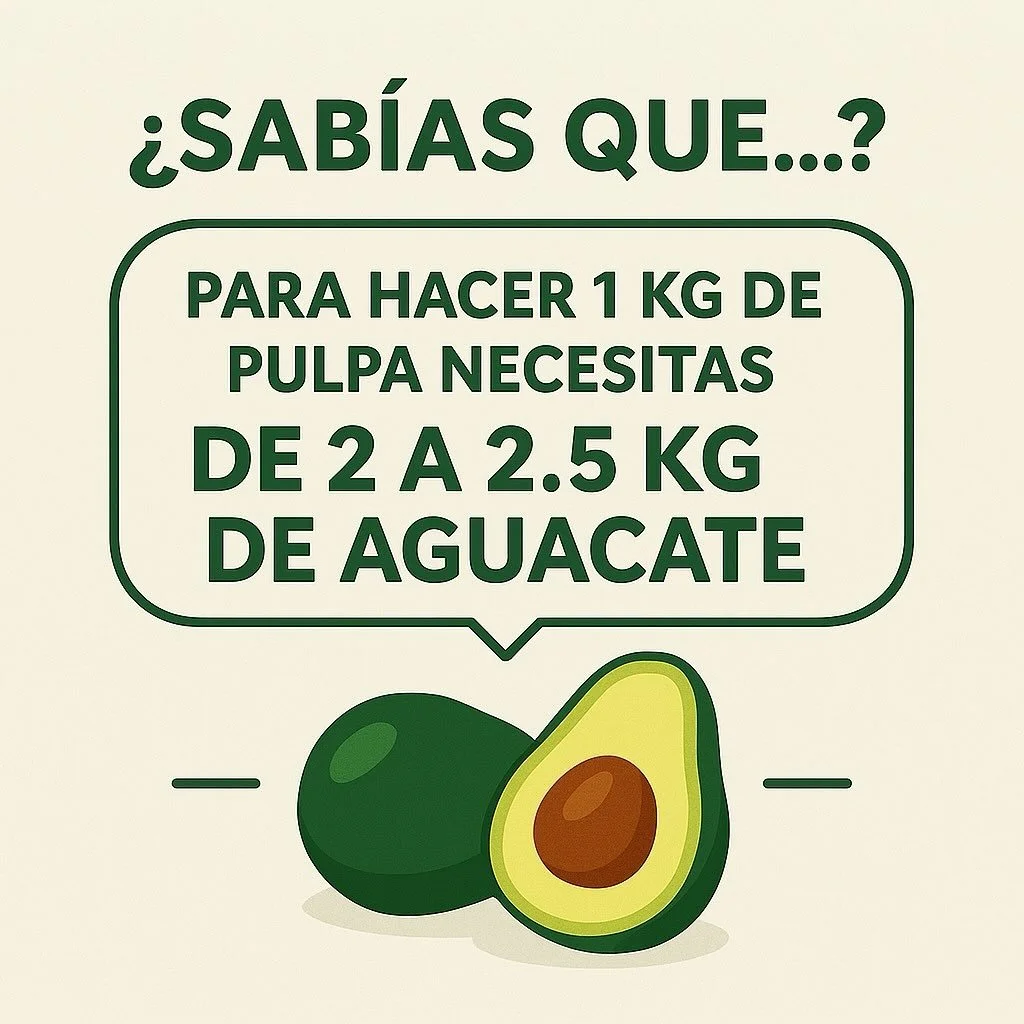 &iquest;Sab&iacute;an?🤓

La mejor calidad para tus alimentos🥑💚

#aguacate #food #helthylife #avocado #delicioso