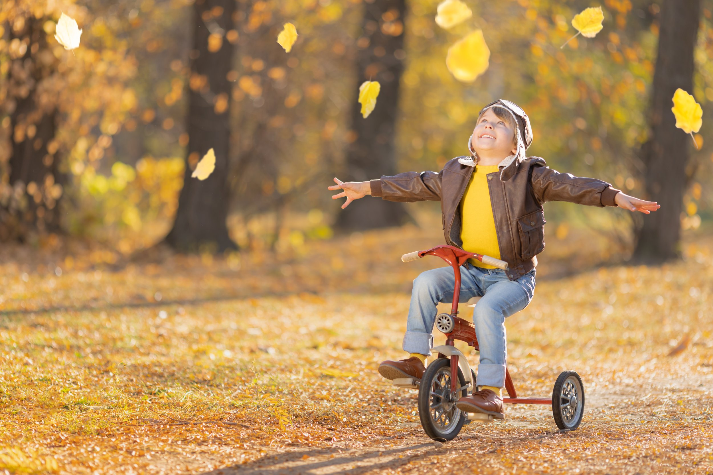 A young boy riding a tricycle outdoors in a park during fall, with yellow leaves falling and trees with orange and yellow leaves in the background.