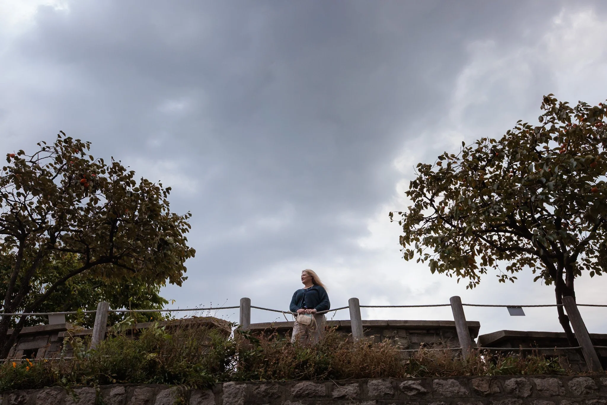 A woman with blonde hair stands on a stone wall, looking into the distance beneath a cloudy sky, with trees on either side of her.