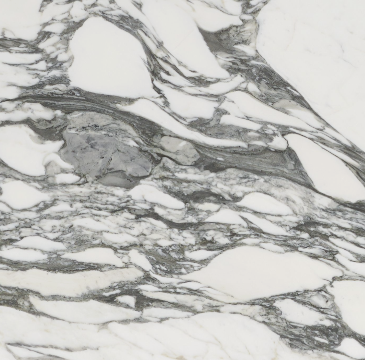 Close-up of white and gray marble surface with intricate veining.