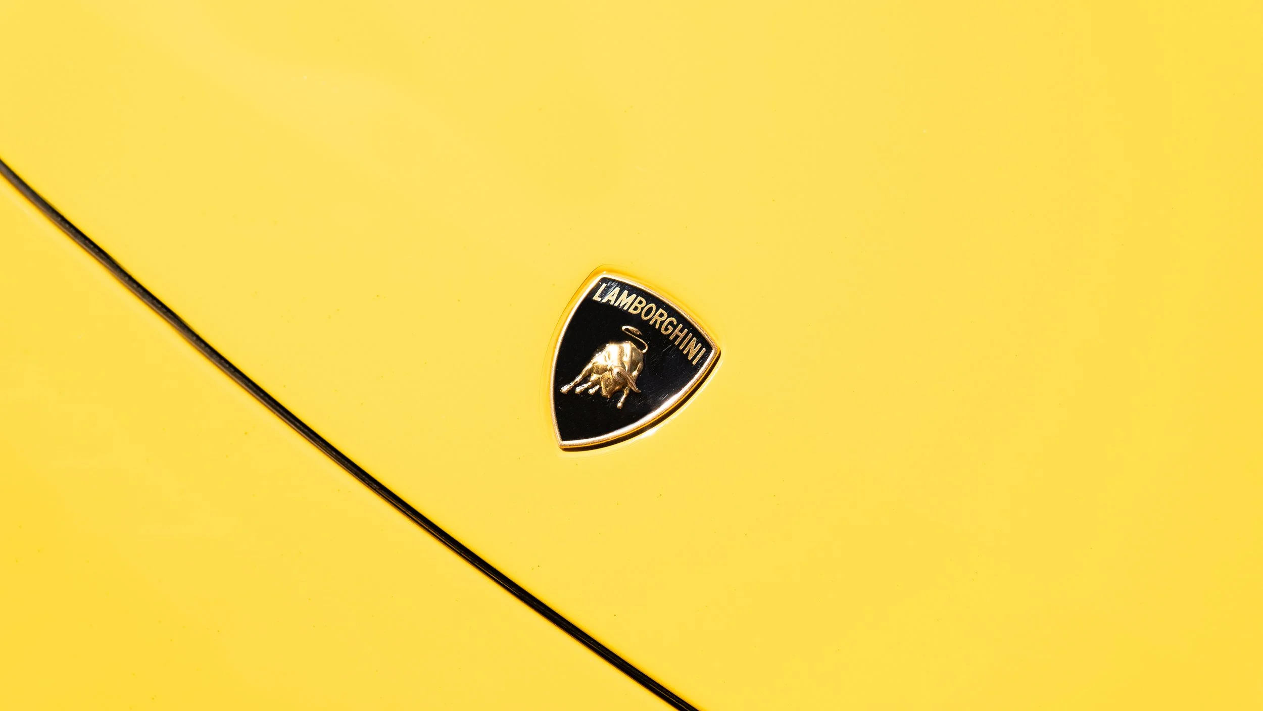 Close-up of a yellow Lamborghini Murcielago hood with a black and gold Lamborghini emblem.