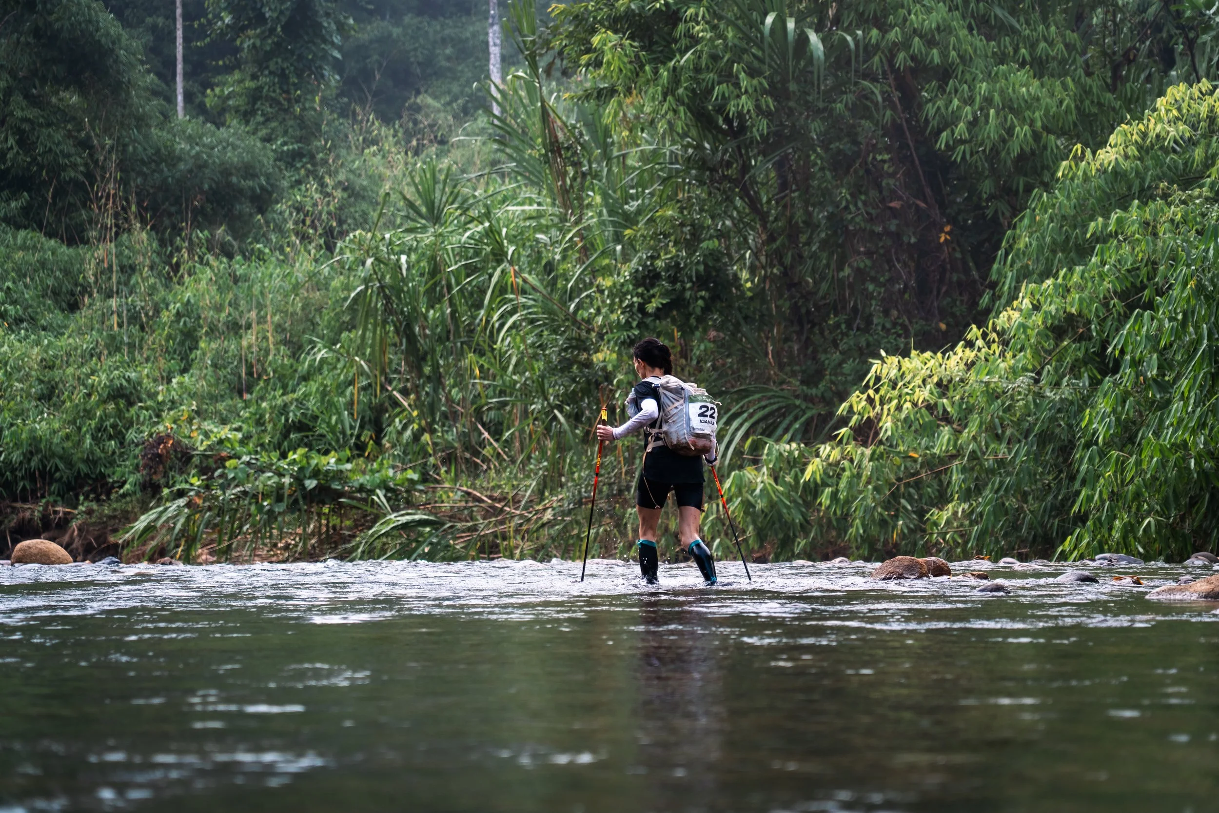 A person wearing a backpack and shorts crossing a shallow river with trekking poles in a lush, green jungle.