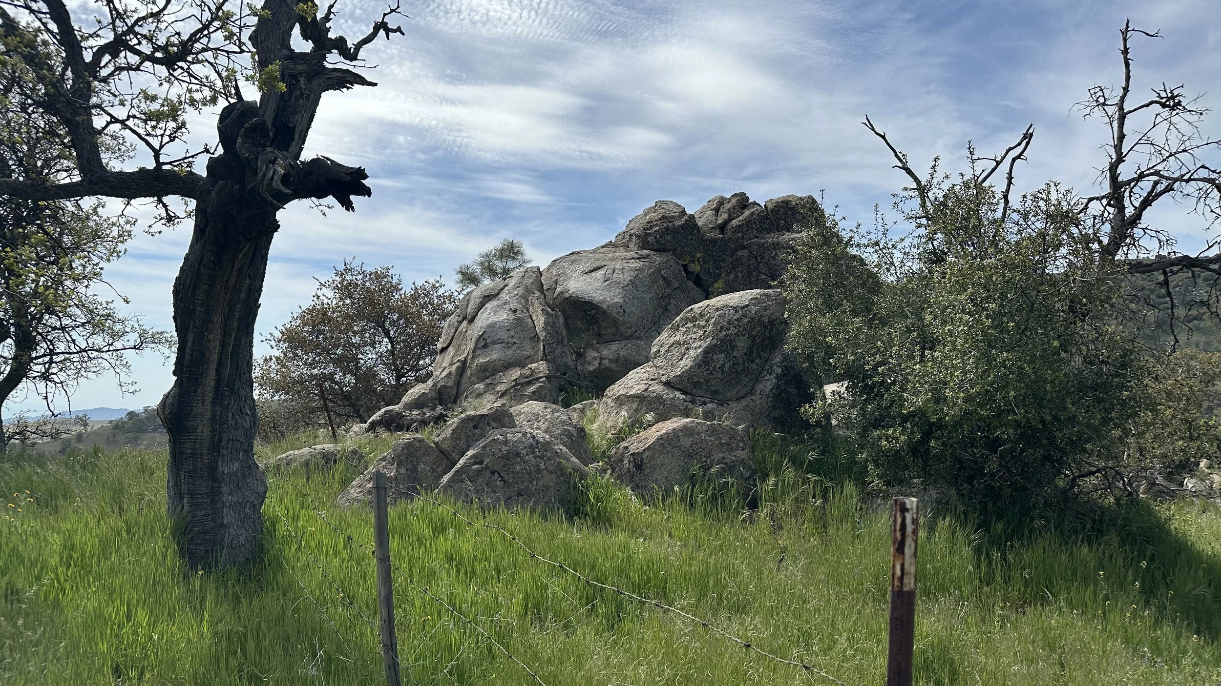 A natural landscape featuring a large rock formation surrounded by trees and green grass, with a partly cloudy sky overhead.
