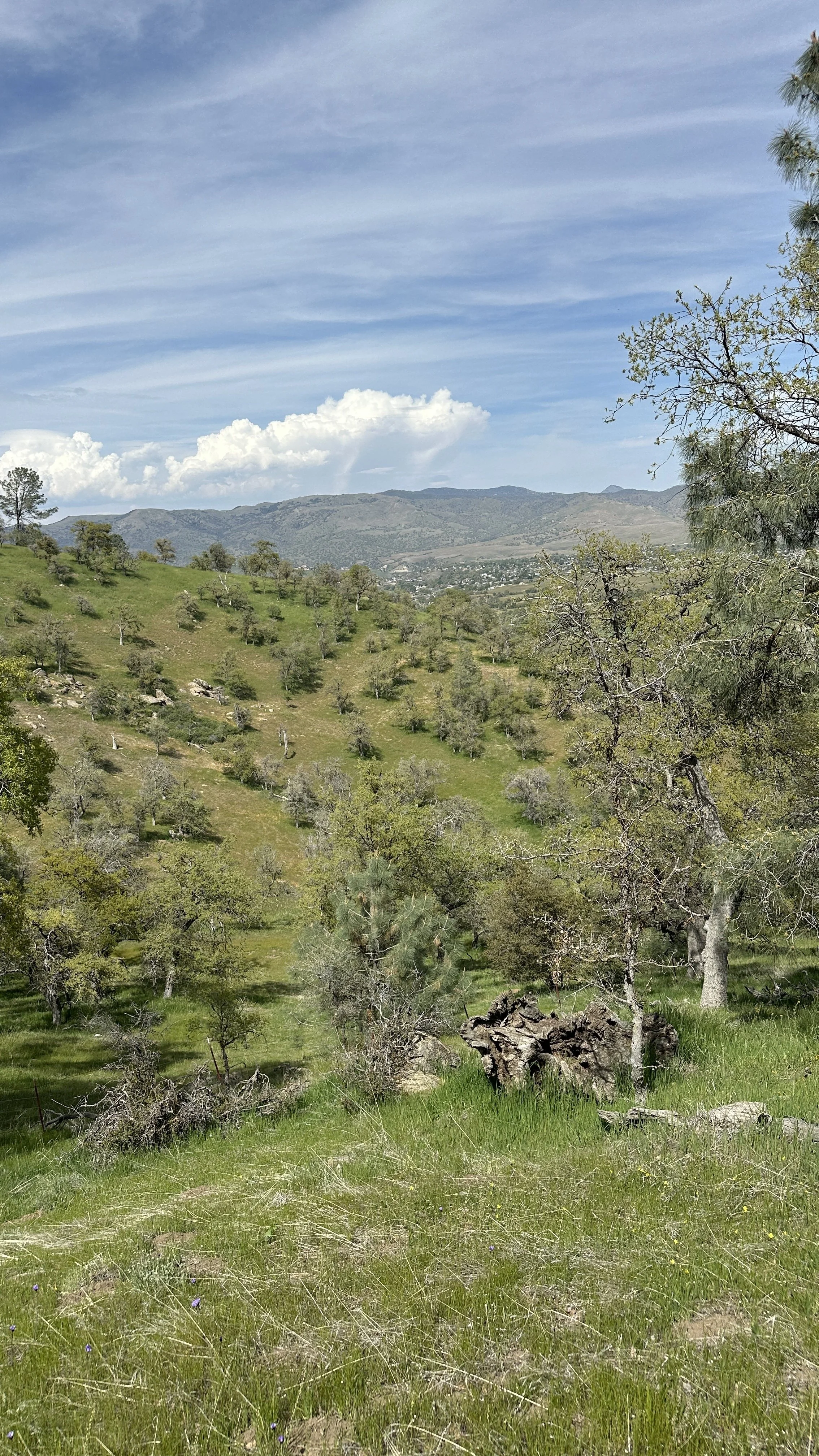 Scenic landscape of rolling green hills with sparsely scattered trees, distant mountains, and a partly cloudy sky.