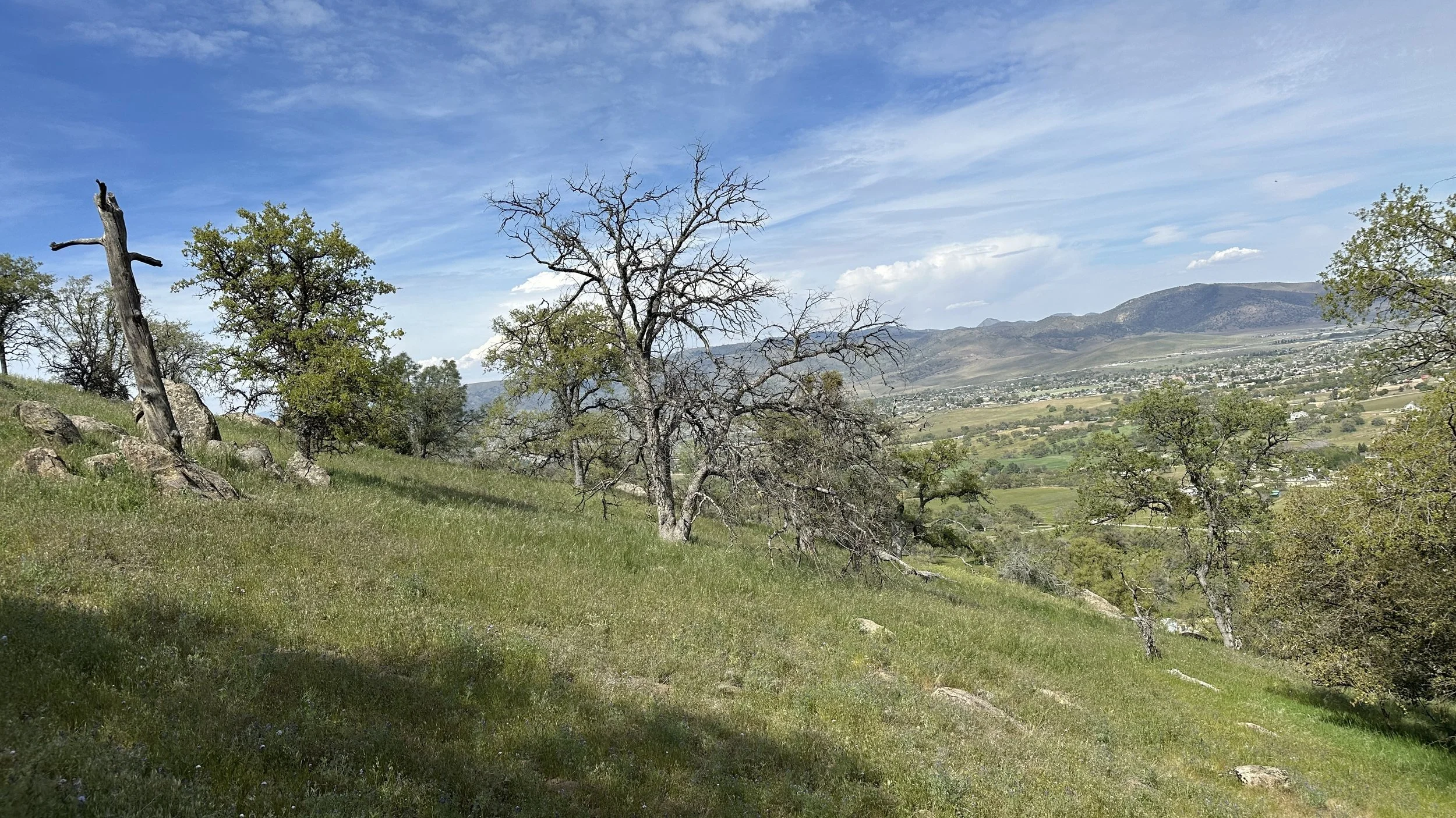 Scenic view of a grassy hillside with leafless and leafy trees, distant mountains, and a valley with fields and small buildings under a partly cloudy sky.