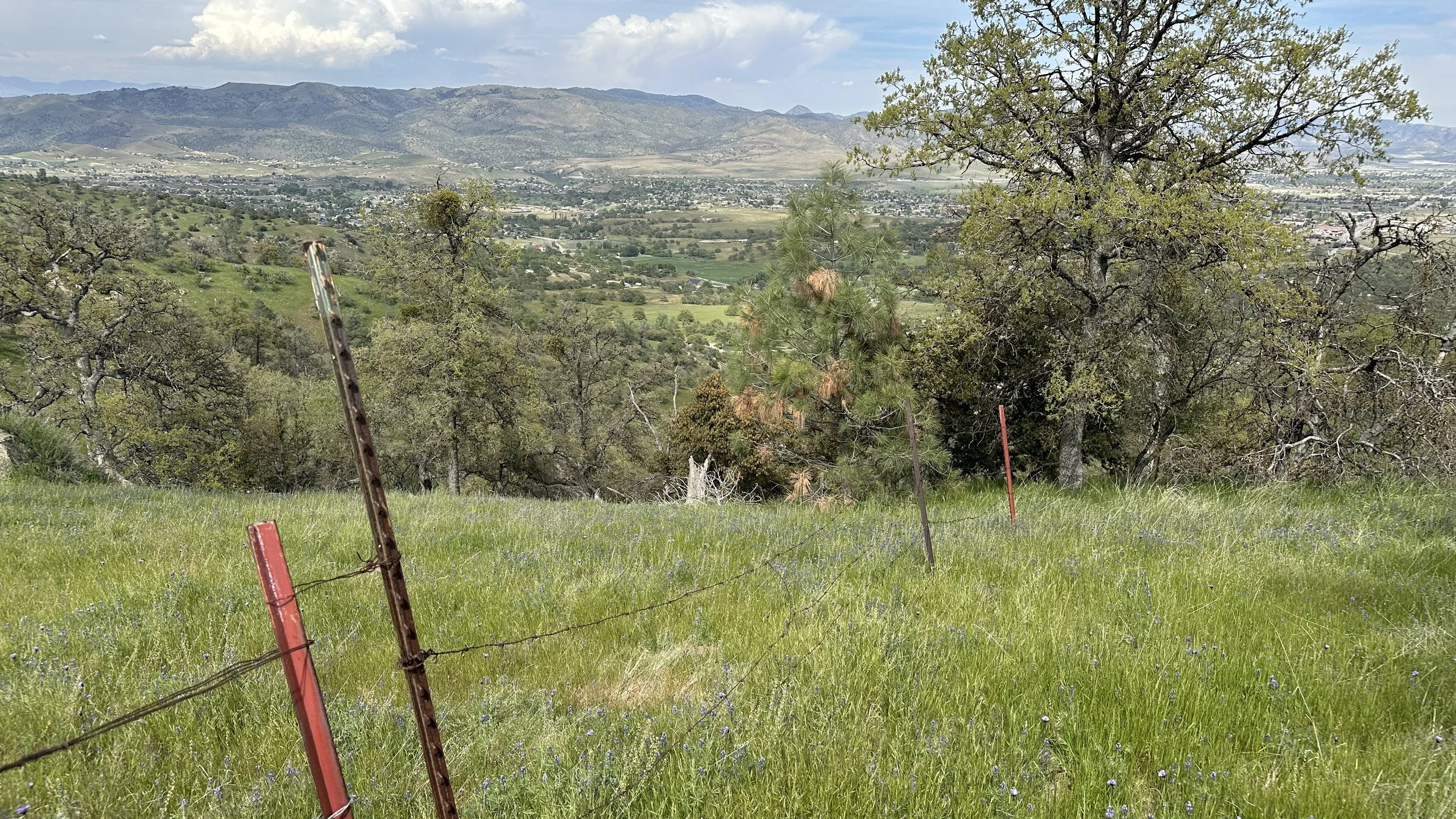 A grassy field with a barbed wire fence, trees, and a mountain range in the distance under a partly cloudy sky.