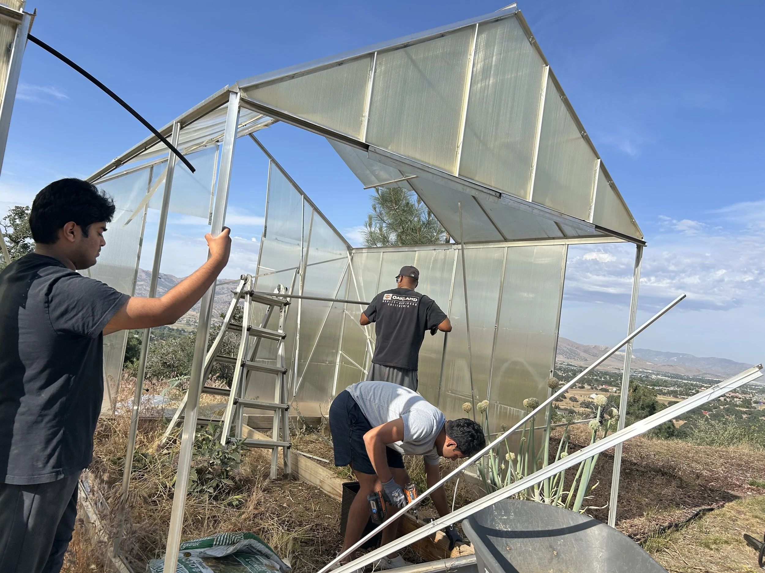 Three young men assembling a greenhouse outdoors under a clear blue sky, with a view of mountains and a valley in the background.