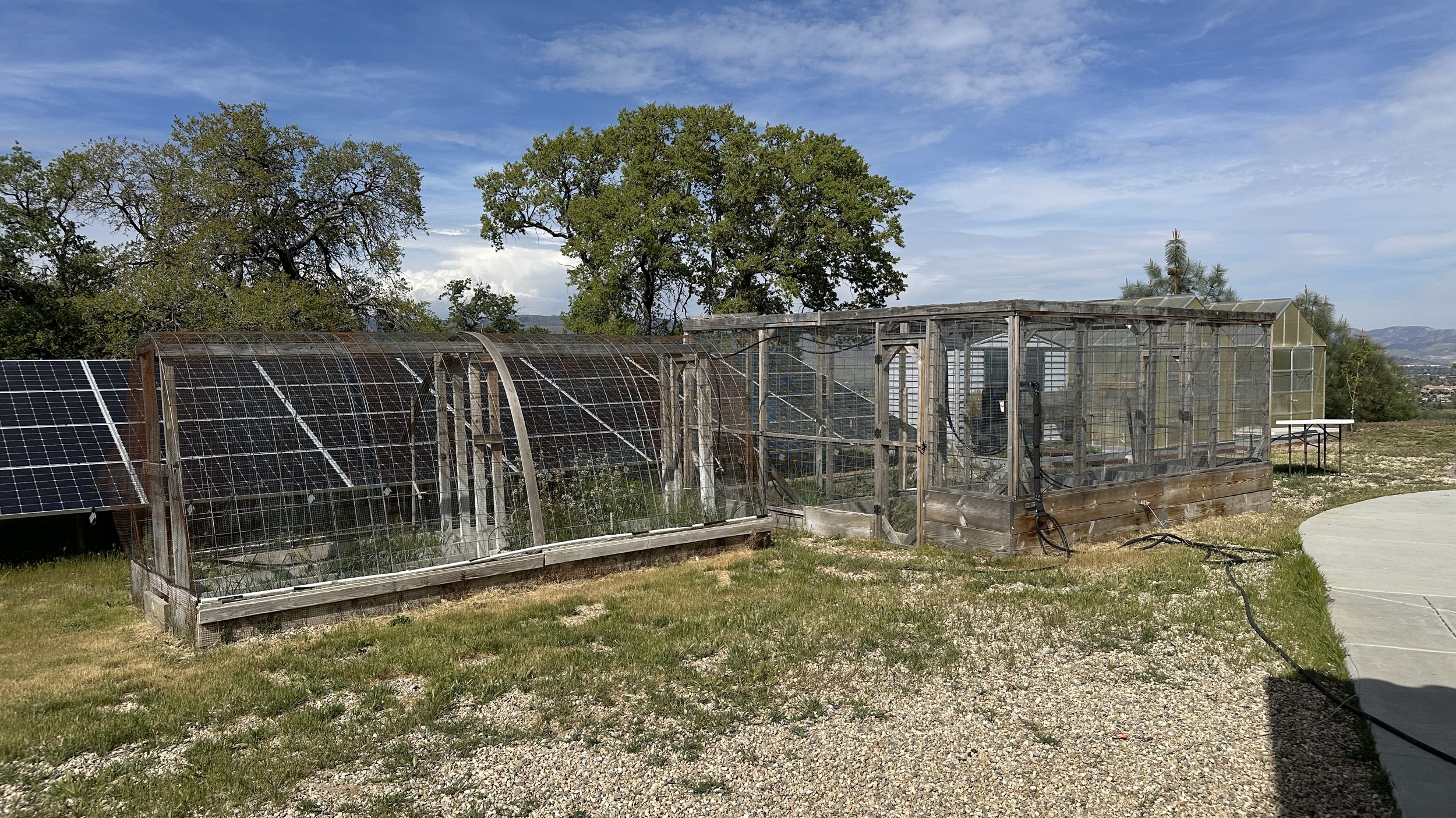 A small greenhouse with a frame covered in transparent plastic and a larger, enclosed structure with a clear roof, situated on a grassy area with trees and a cloudy sky in the background.