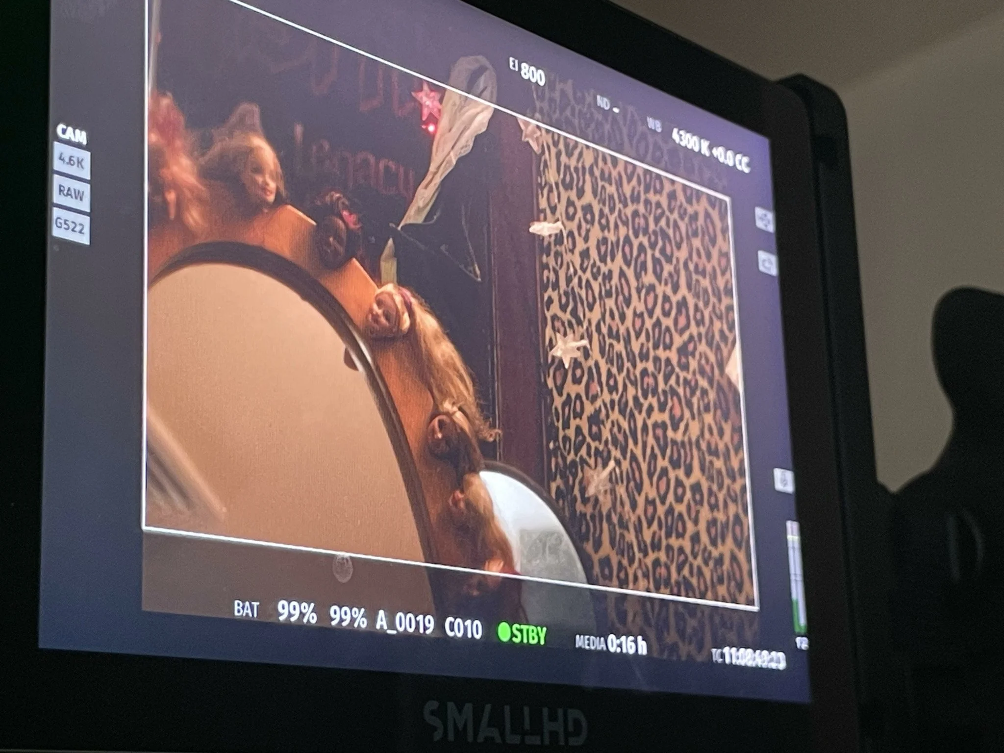 A monitor displaying a photograph of a room with a leopard print carpet, a wooden table with a mirror on it, and a collection of dolls with long curly hair lying on the table. There are also some scattered objects and a purple border around the photo.