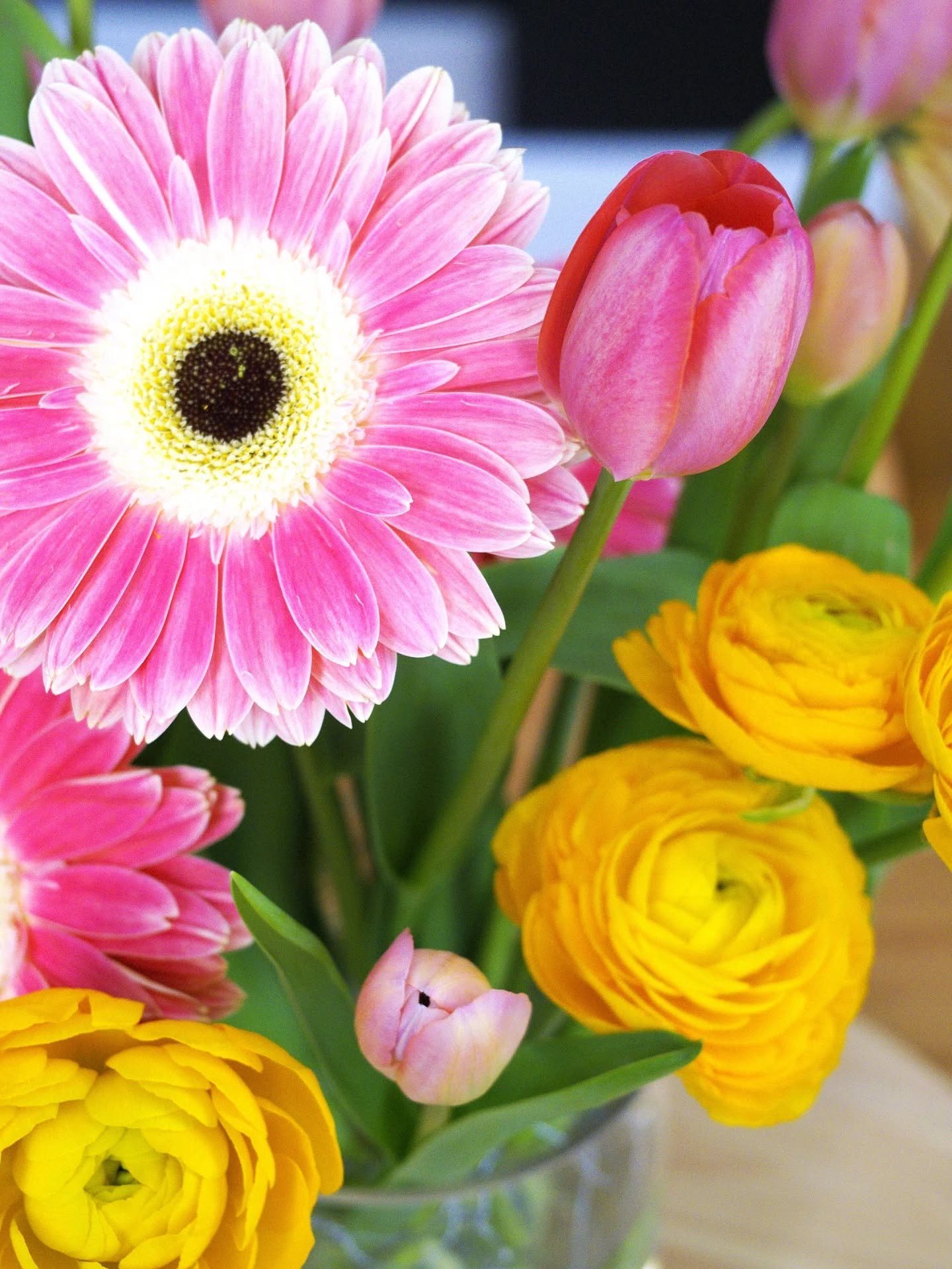 Orla is for fresh starts, tean laughs, and just because. Gerberas, ranunculus and tulip simplicity for the win.

#justbecause #Baltimoreflorist #farmerflorist #blackflorist #floraldesigner #blackfloraldesigner #weddingflowers #dcfloraldesigner #balti