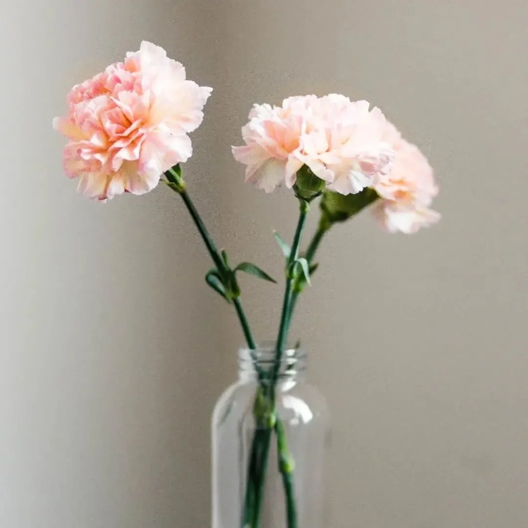 Here's hoping hump day is your day, ayy!