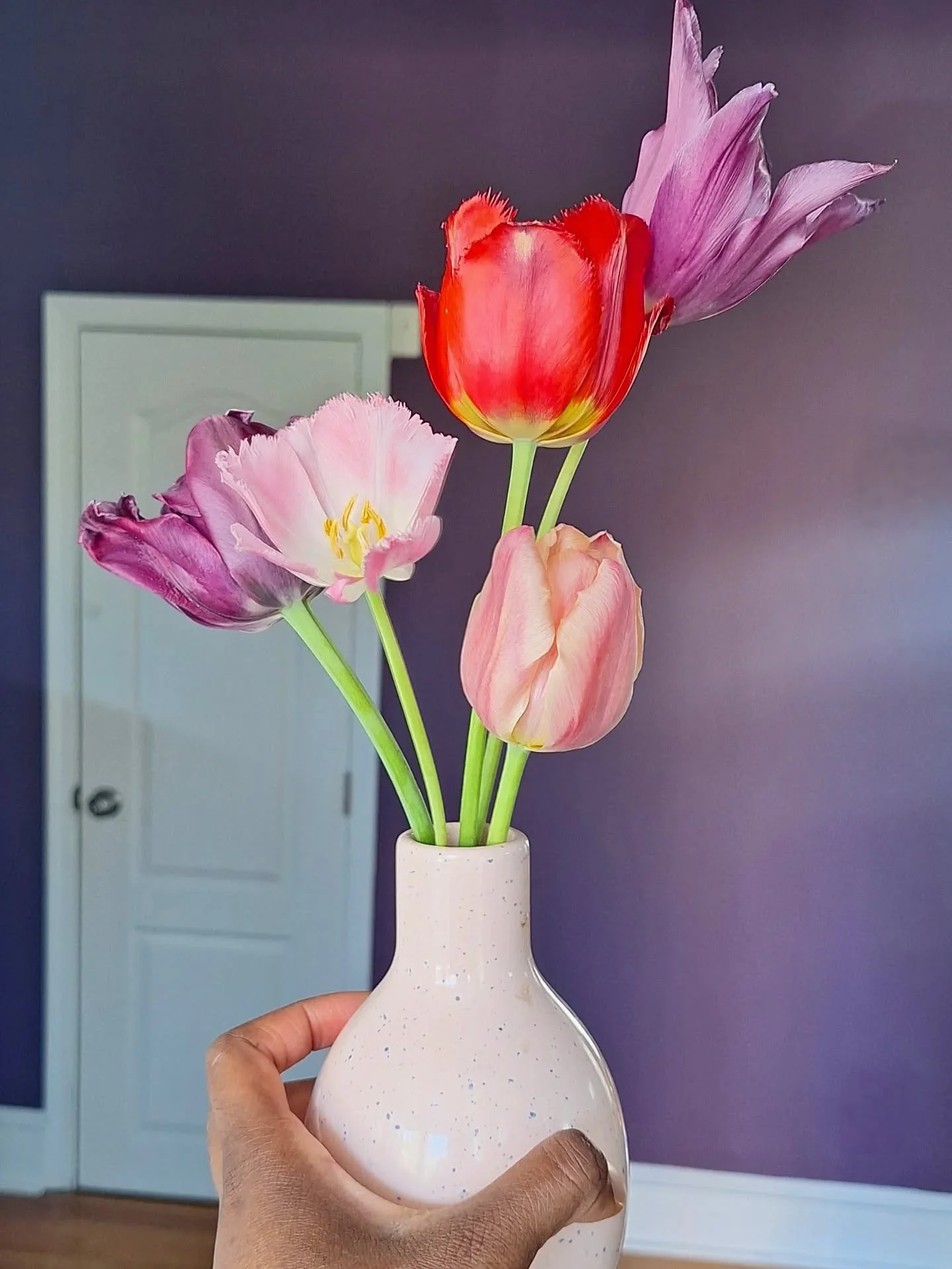 When you just want to feel better...🌷🪻💐