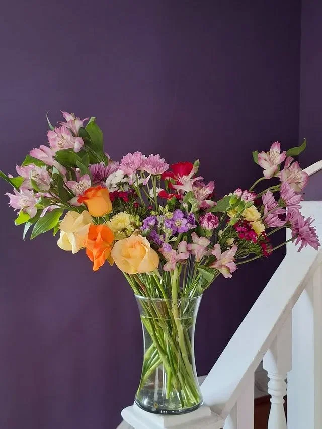 The Babycakes (20-stems)